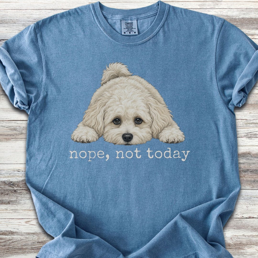 Maltipoo Nope - Blue Jean