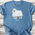 Akita Boo - Blue Jean