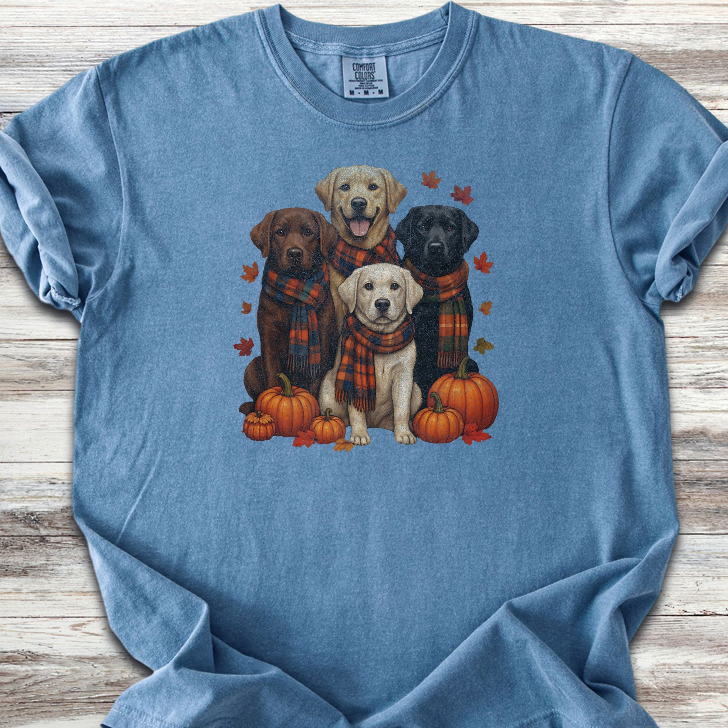 Labrador Retriever Fall - Blue Jean