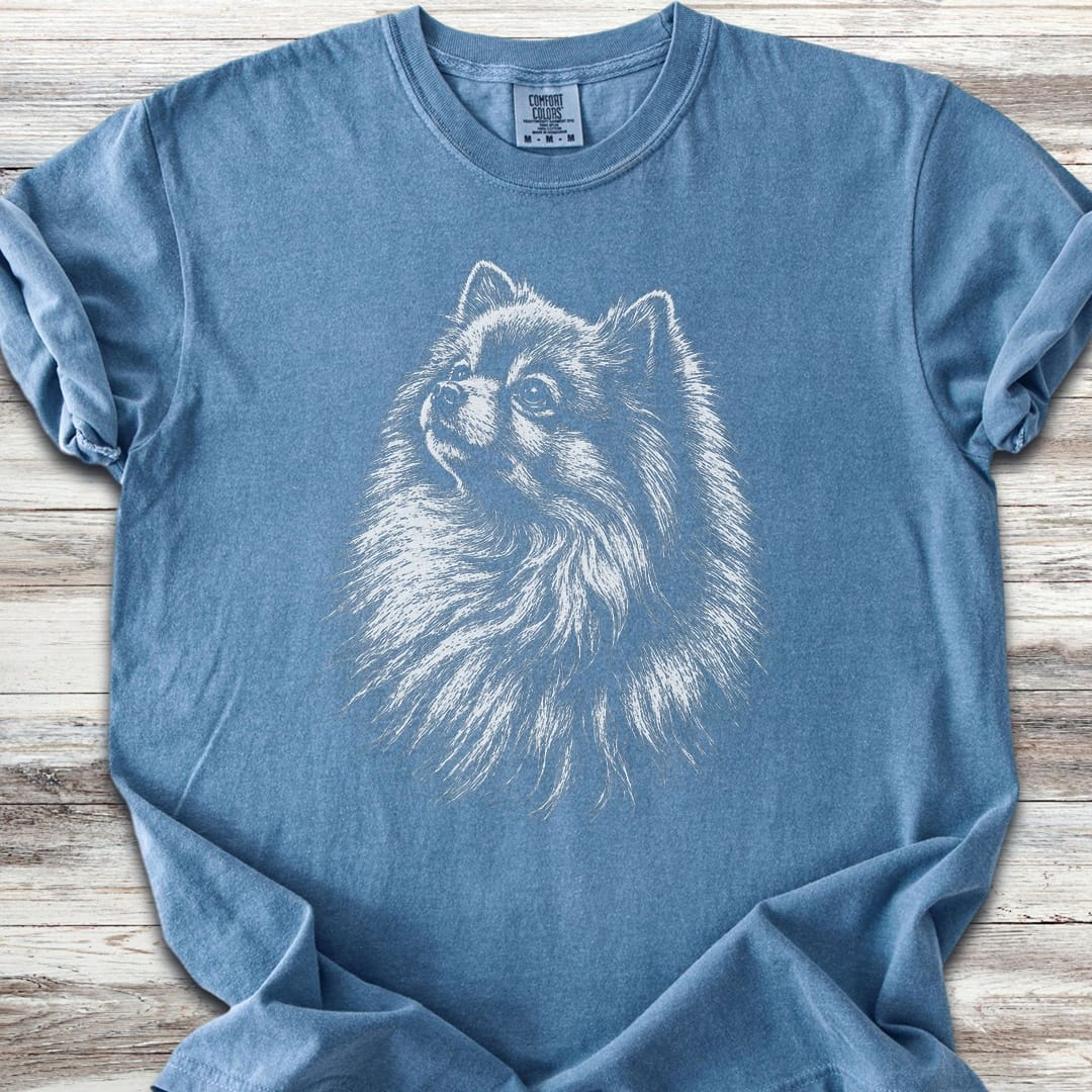 Pomeranian Loyalty - Blue Jean