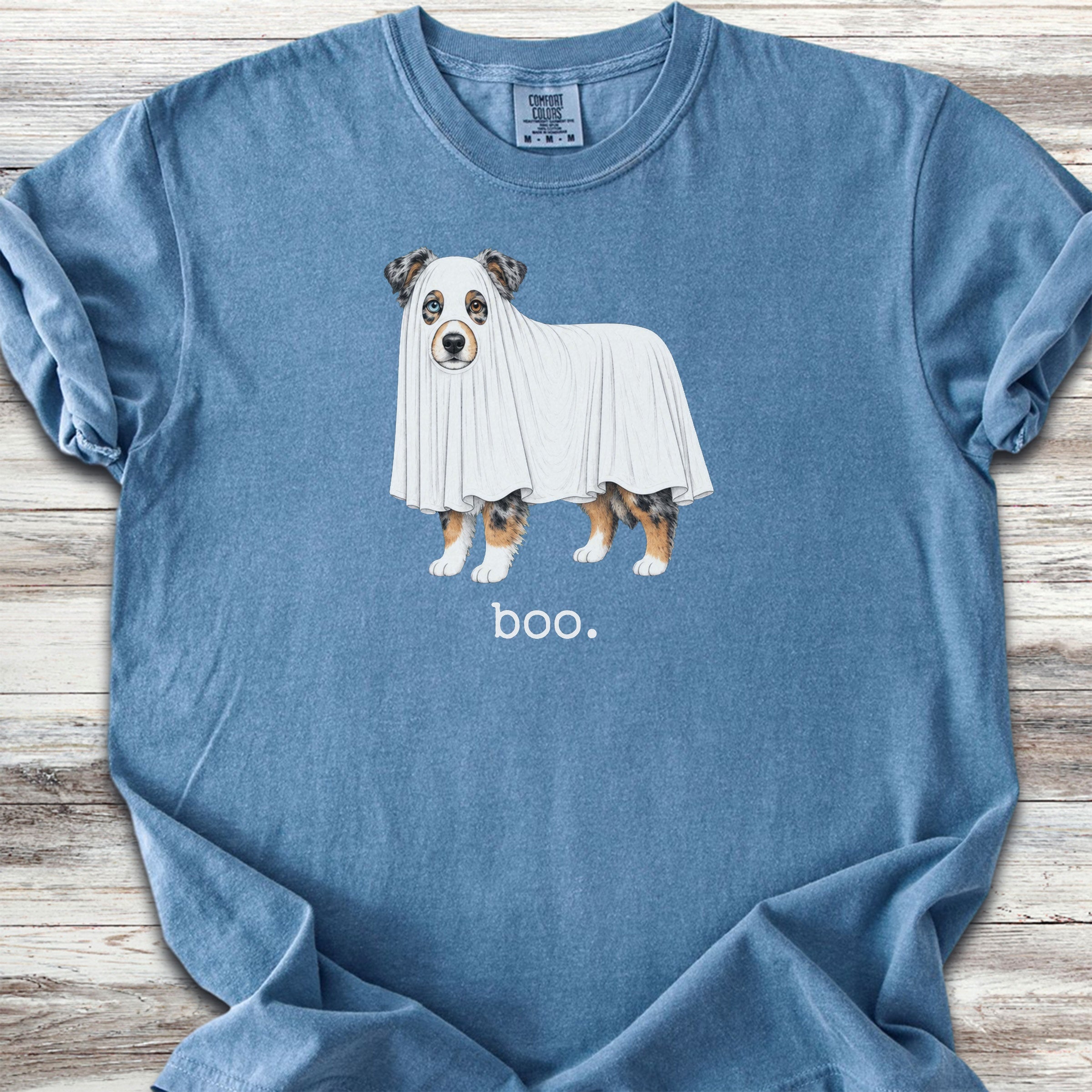 American Shepherd Boo - Blue Jean