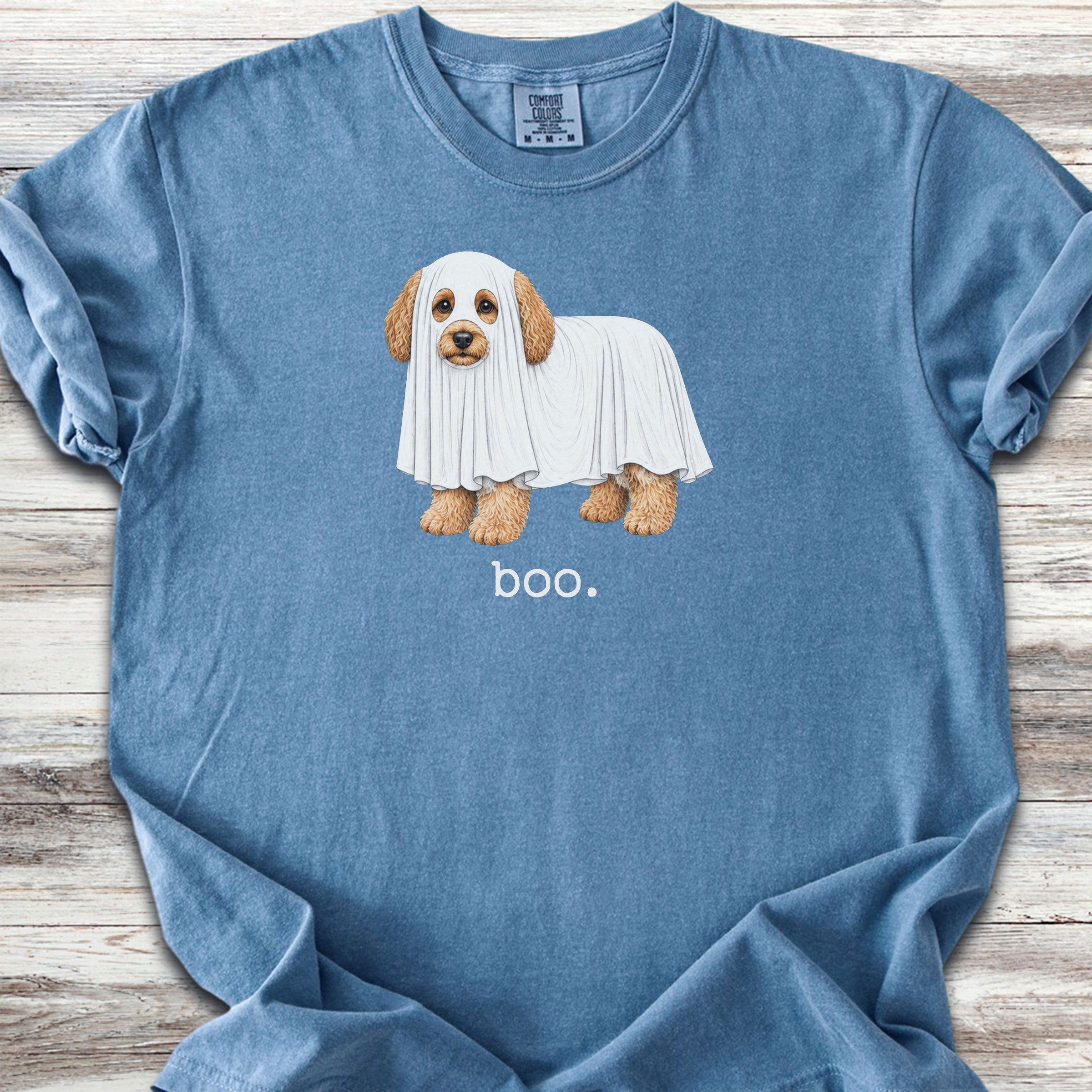 Cavapoo Boo - Blue Jean