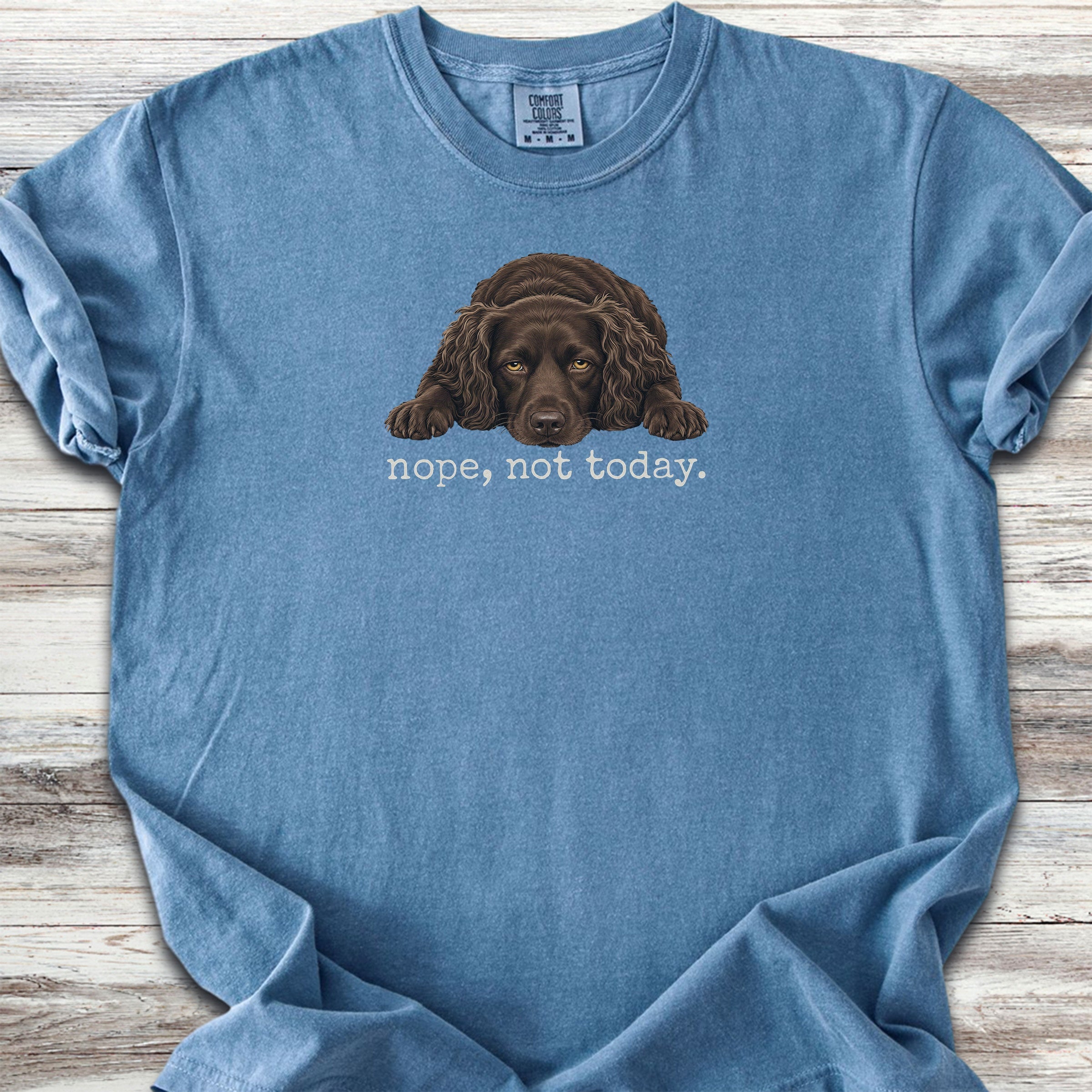 Boykin Spaniel Nope - Blue Jean