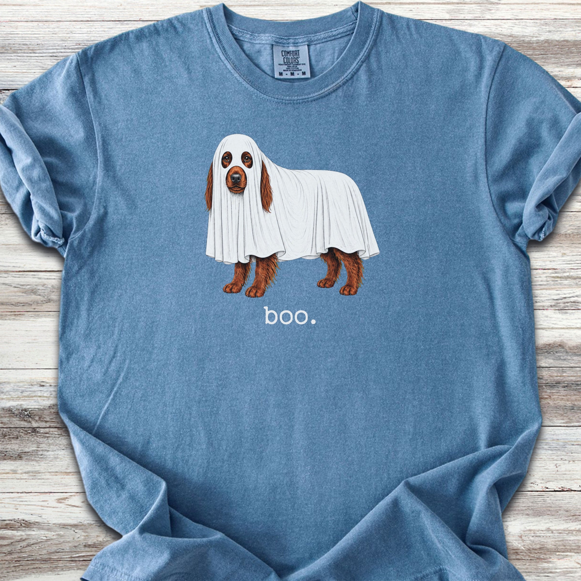 Irish Setter Boo - Blue Jean