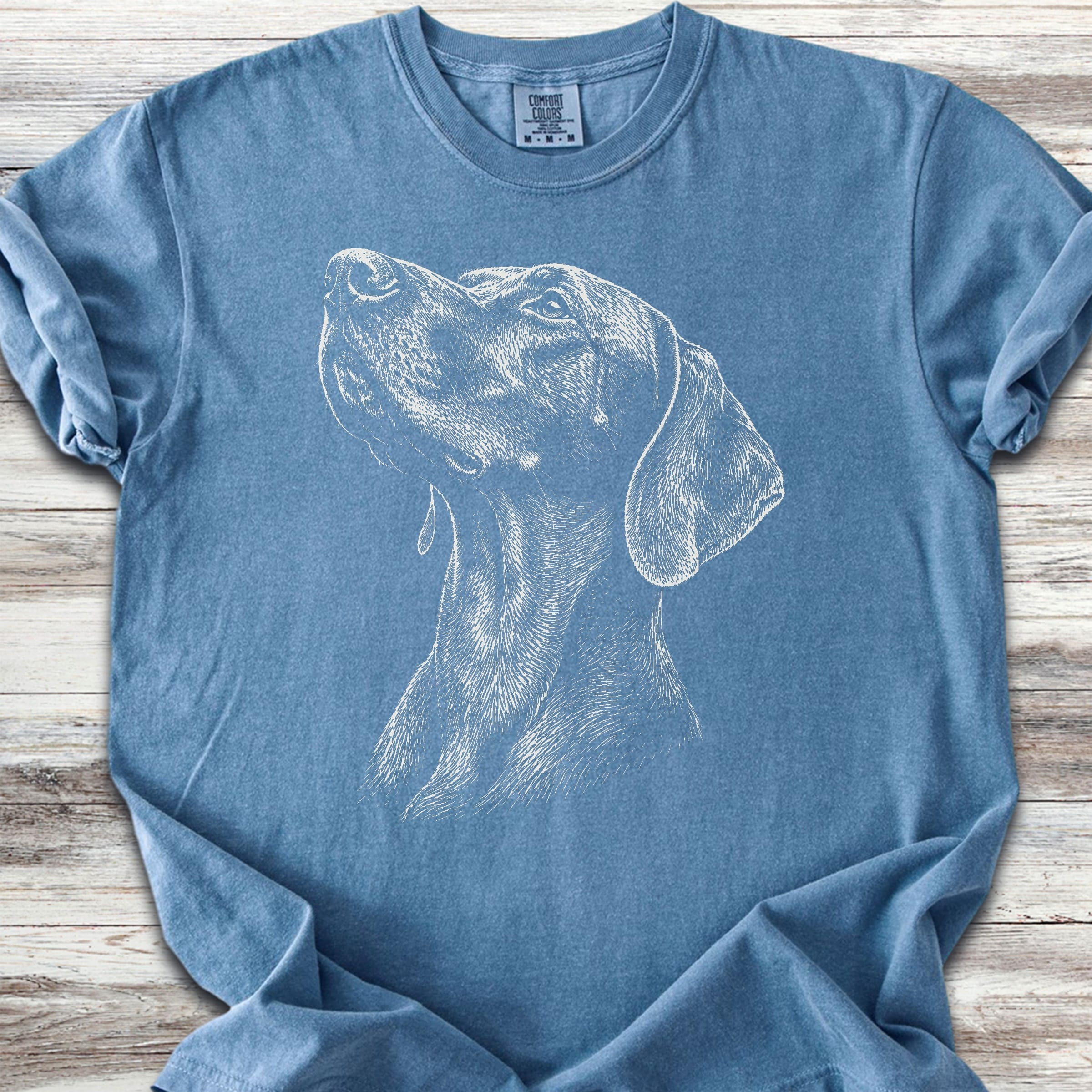 Weimaraner Loyalty - Blue Jean