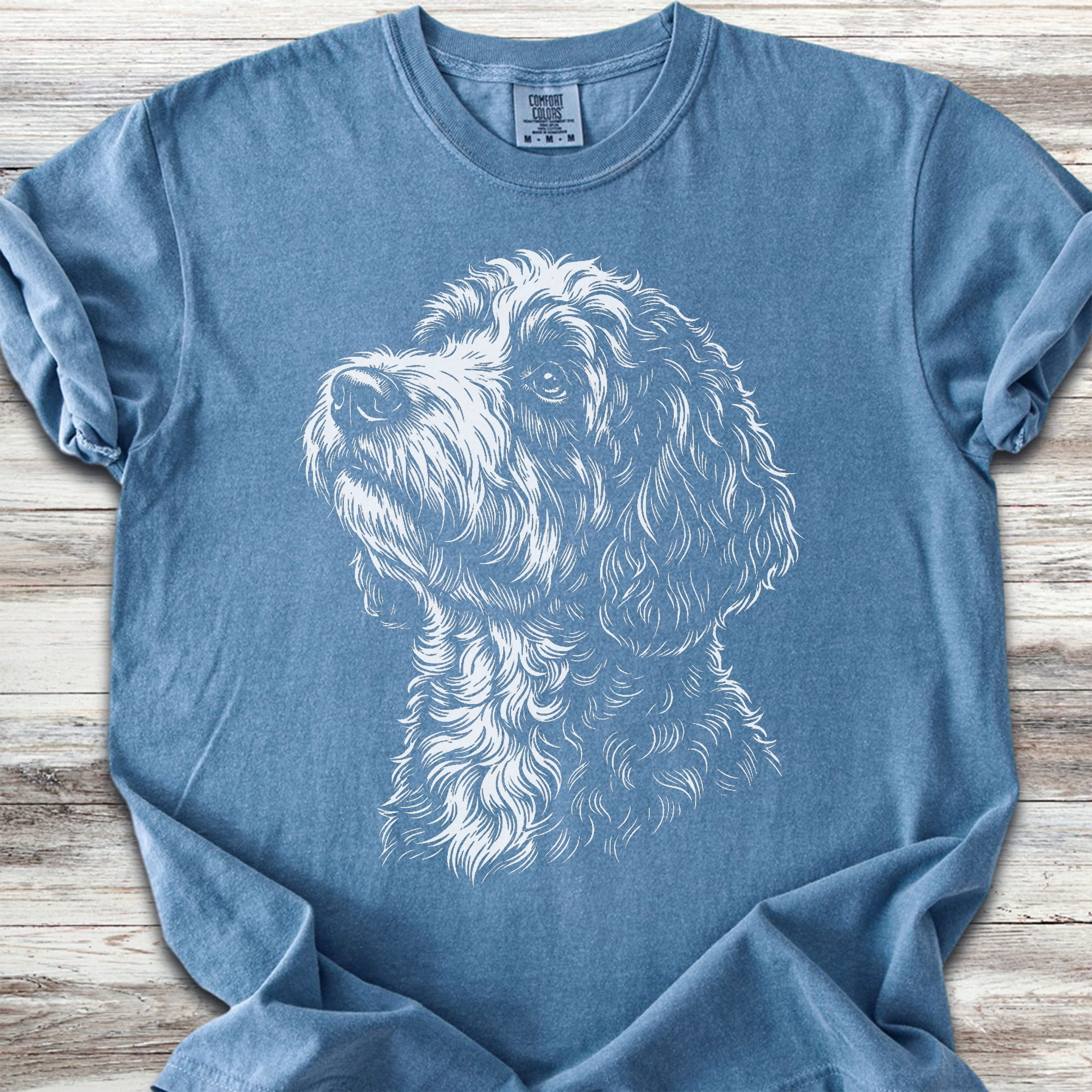 Bernedoodle Loyalty - Blue Jean