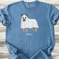 Cairn Terrier Boo - Blue Jean