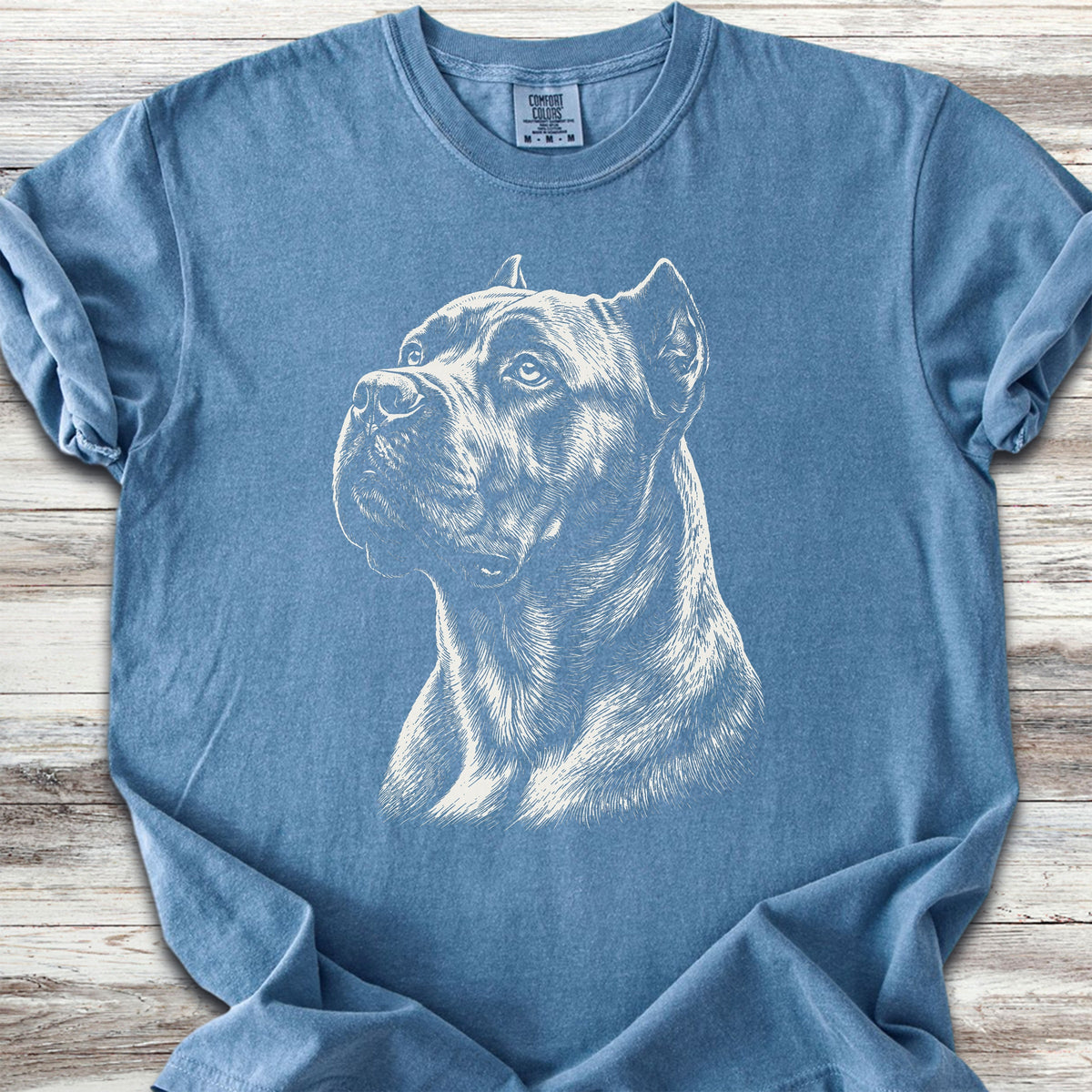 Cane Corso Loyalty - Blue Jean