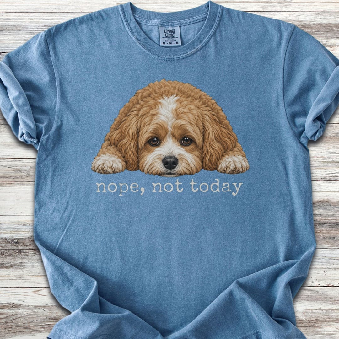Cavapoo Nope - Blue Jean