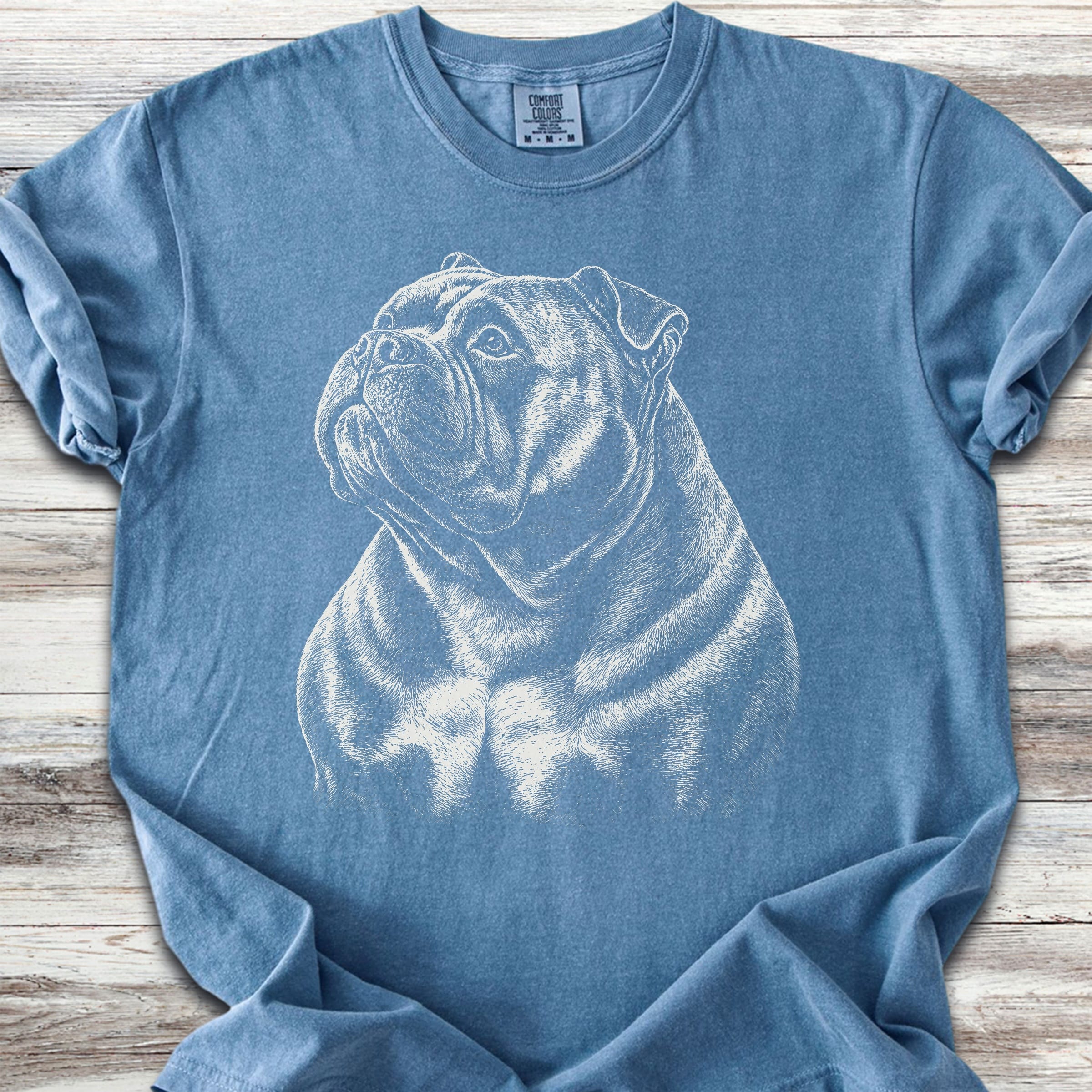 American Bully Loyalty - Blue Jean