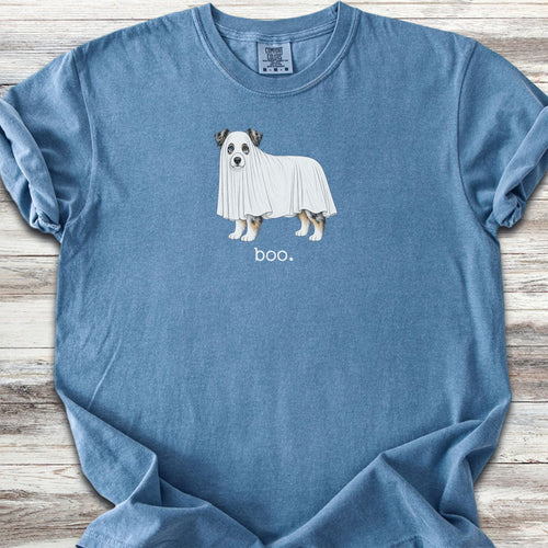 Australian Shepherd Boo - Blue Jean