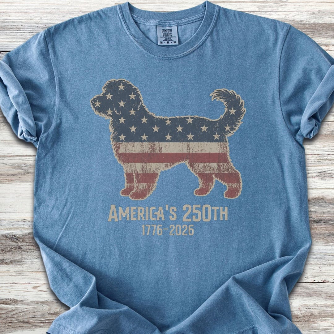 Aussiedoodle 250 - Blue Jean