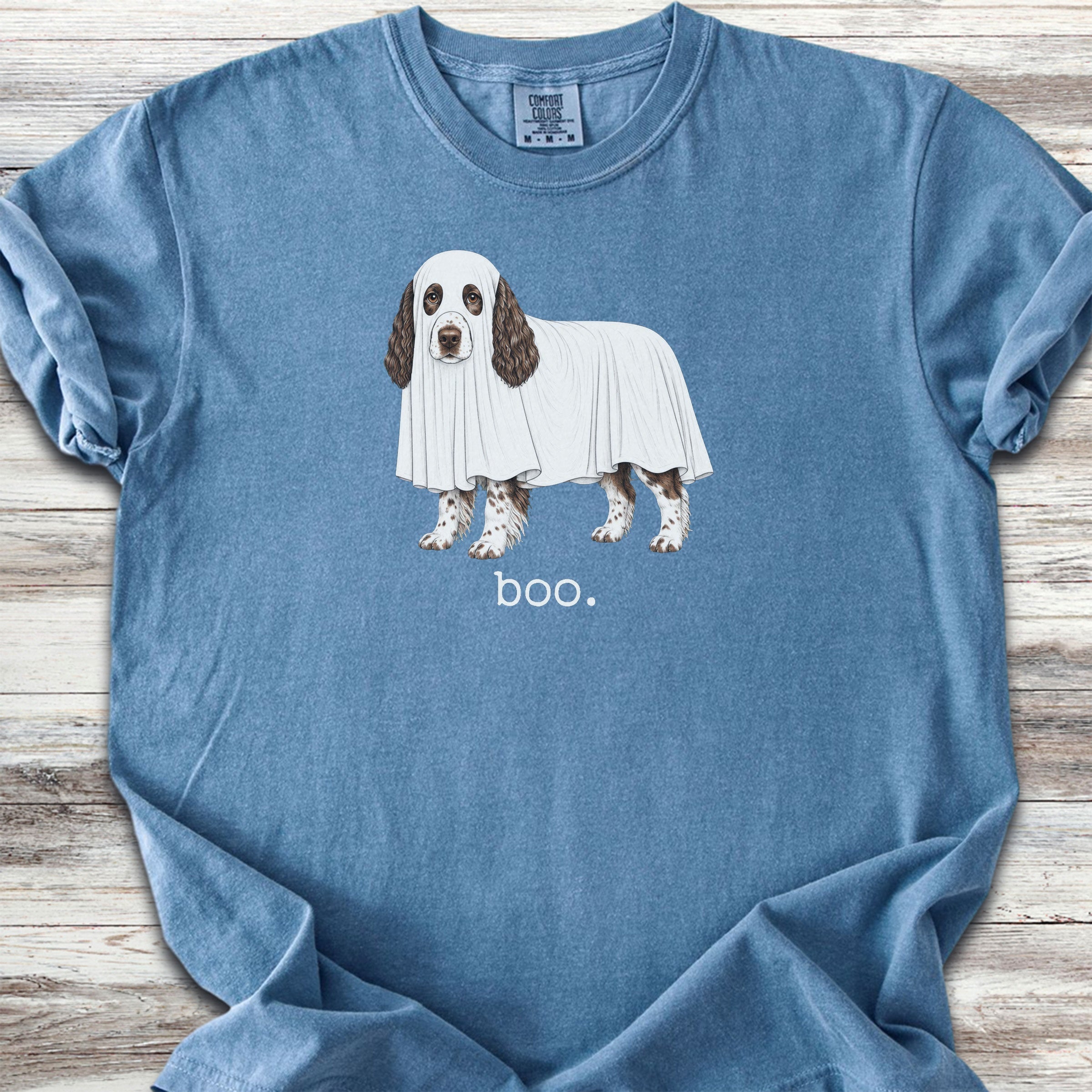English Springer Spaniel Boo - Blue Jean