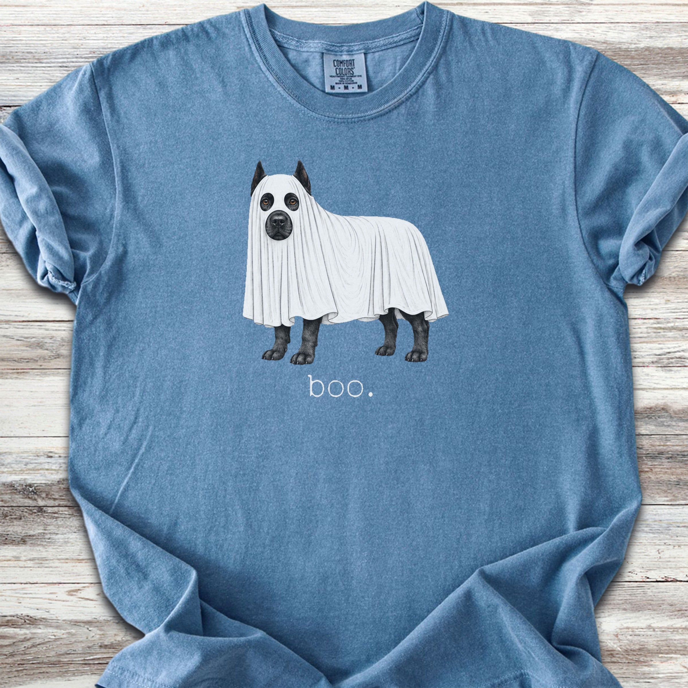 Cane Corso Boo - Blue Jean