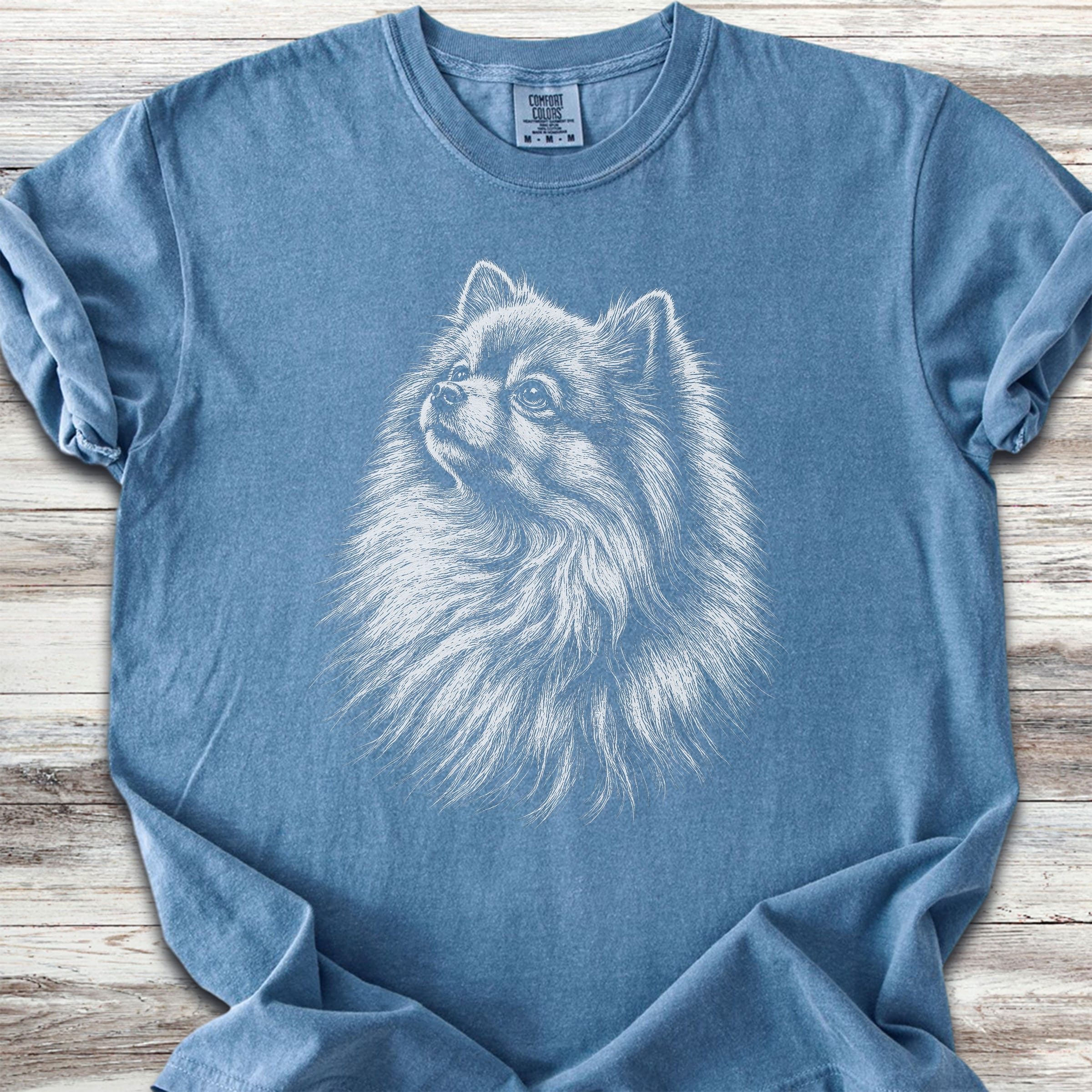 Pomeranian Loyalty - Blue Jean
