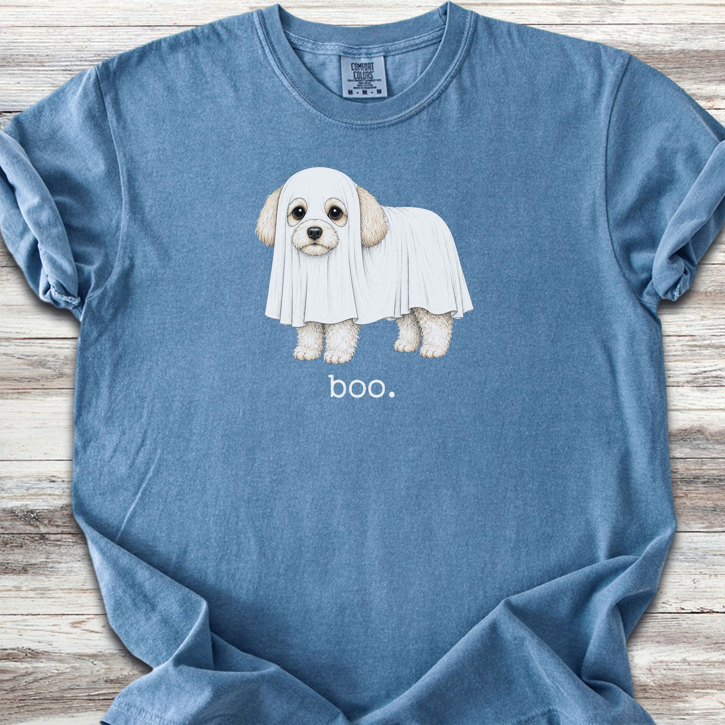 Maltipoo Boo - Blue Jean