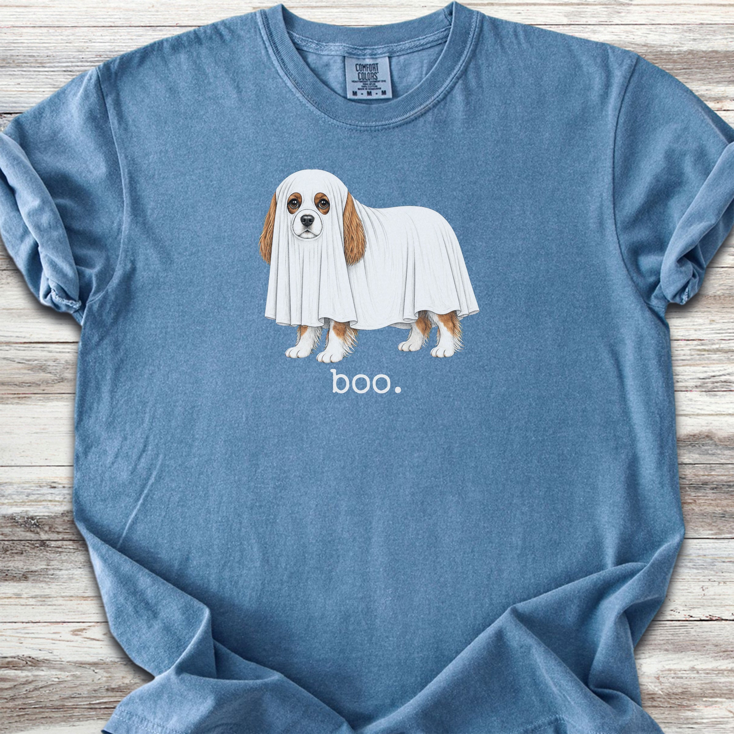 Cavalier King Charles Spaniel Boo - Blue Jean