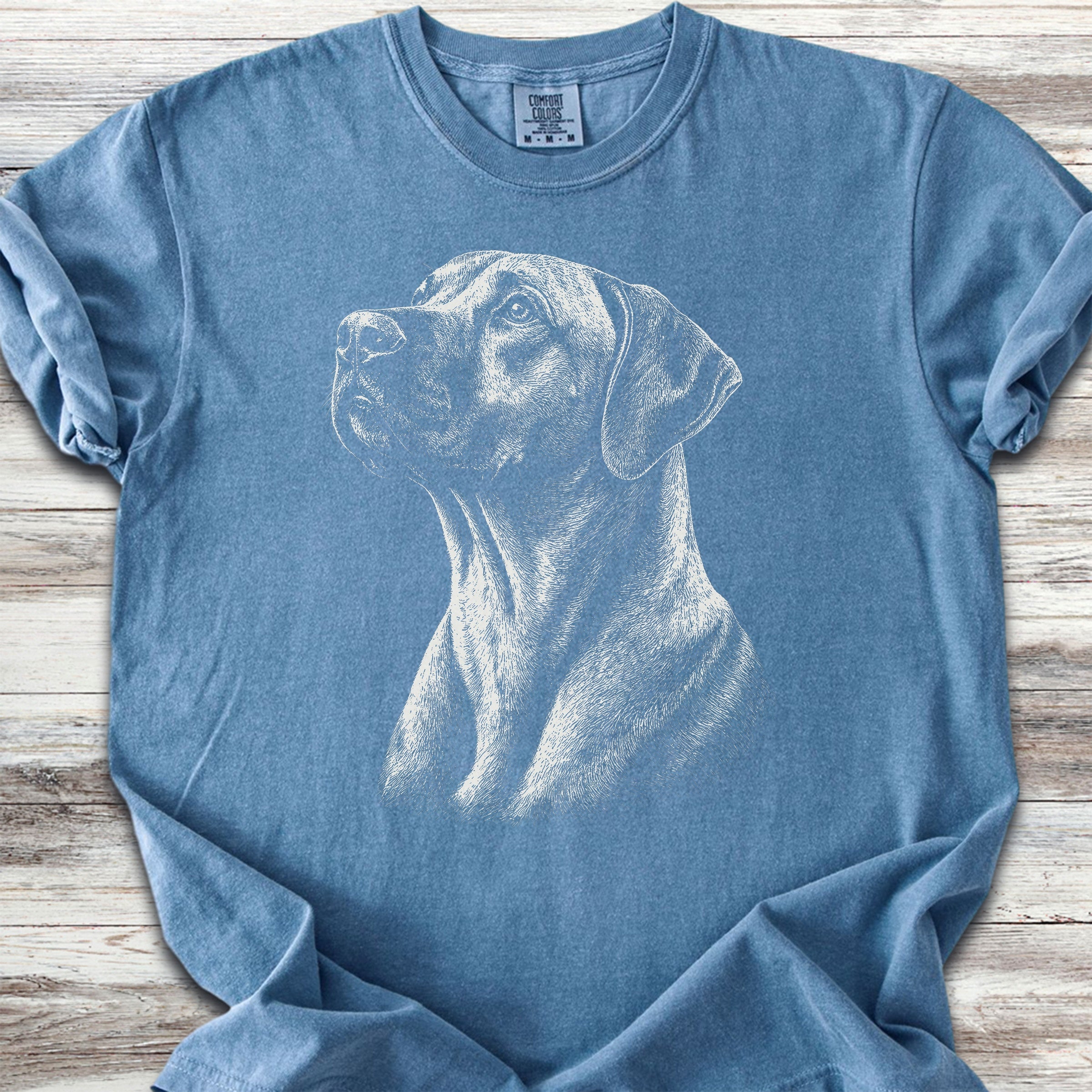 Rhodesian Ridgeback Loyalty - Blue Jean