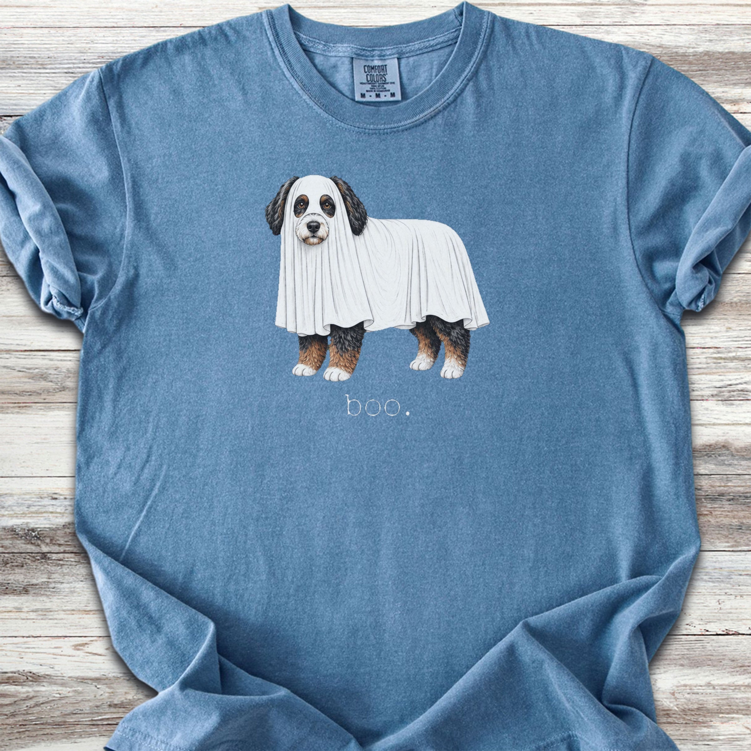 Bernedoodle Boo - Blue Jean