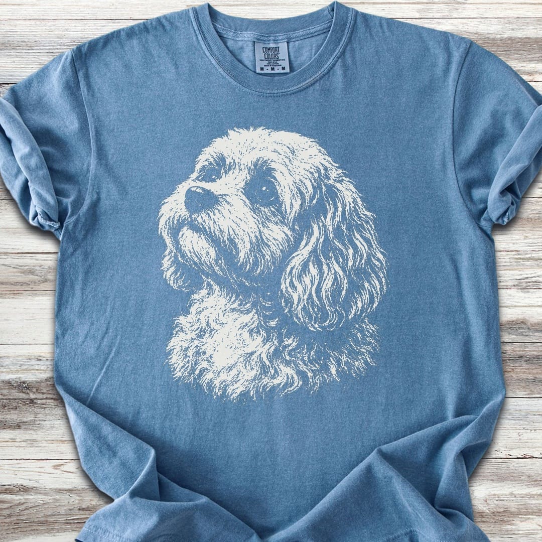 Cavapoo Loyalty - Blue Jean