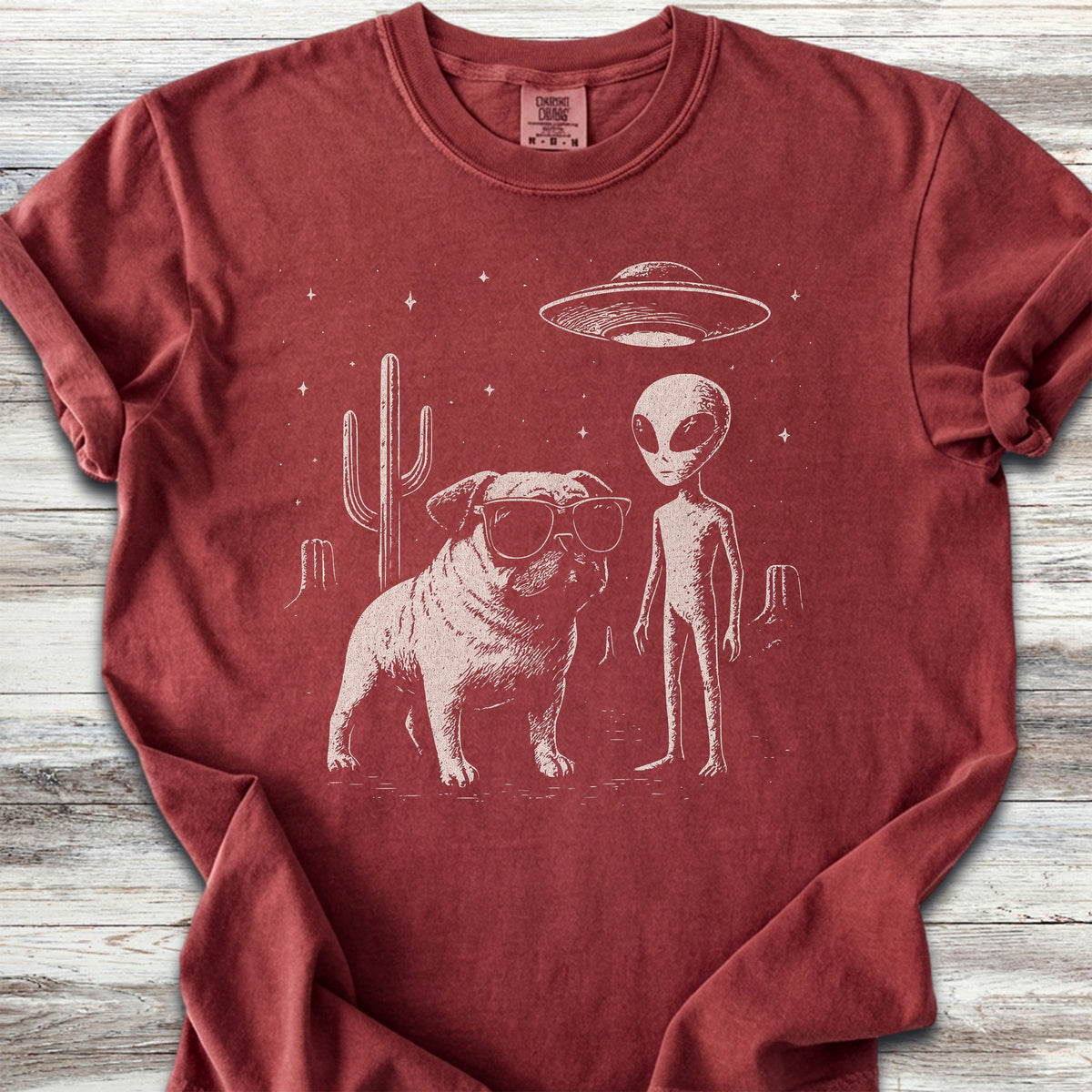 Pug Alien Encounter - Brick
