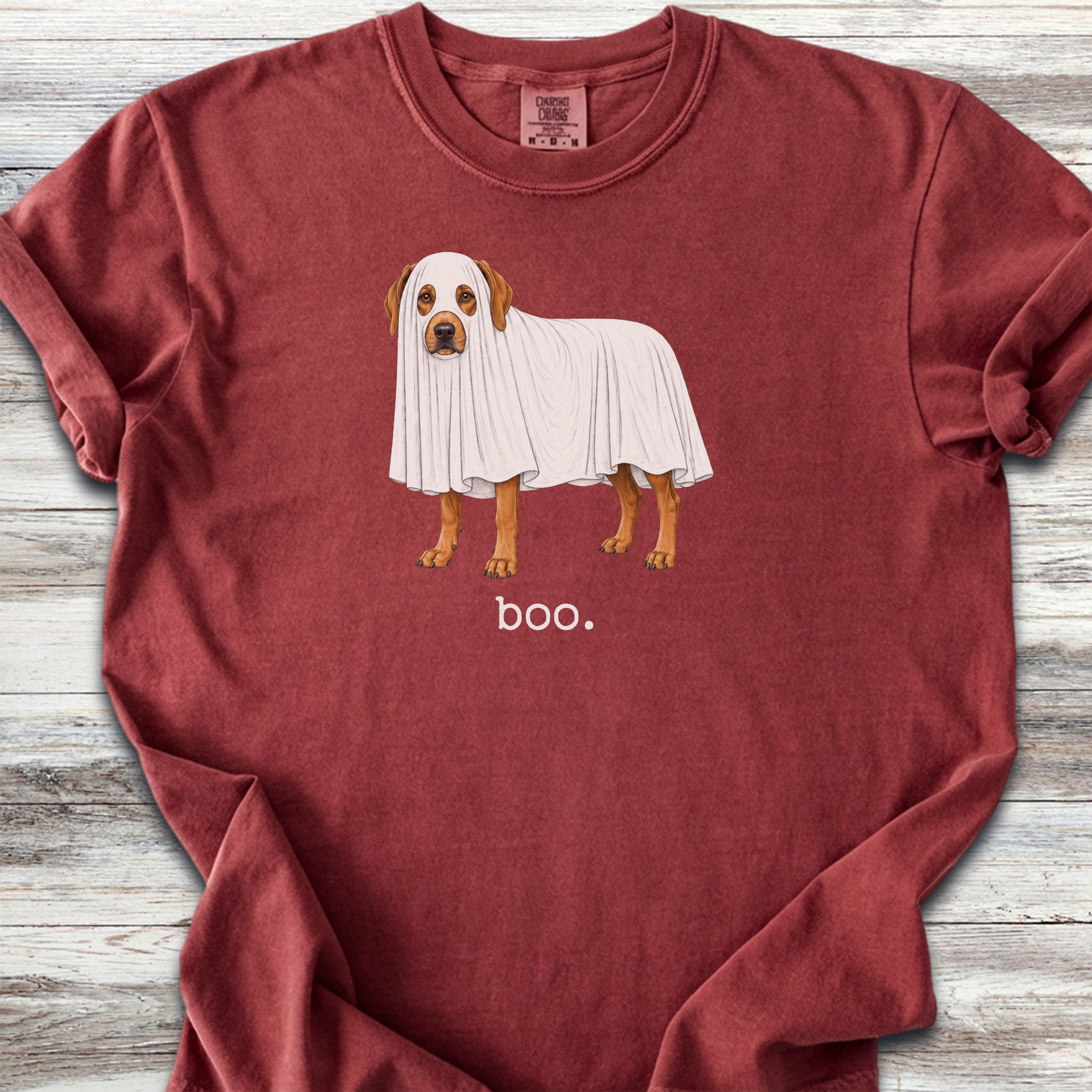 Rhodesian Ridgeback Boo - Brick