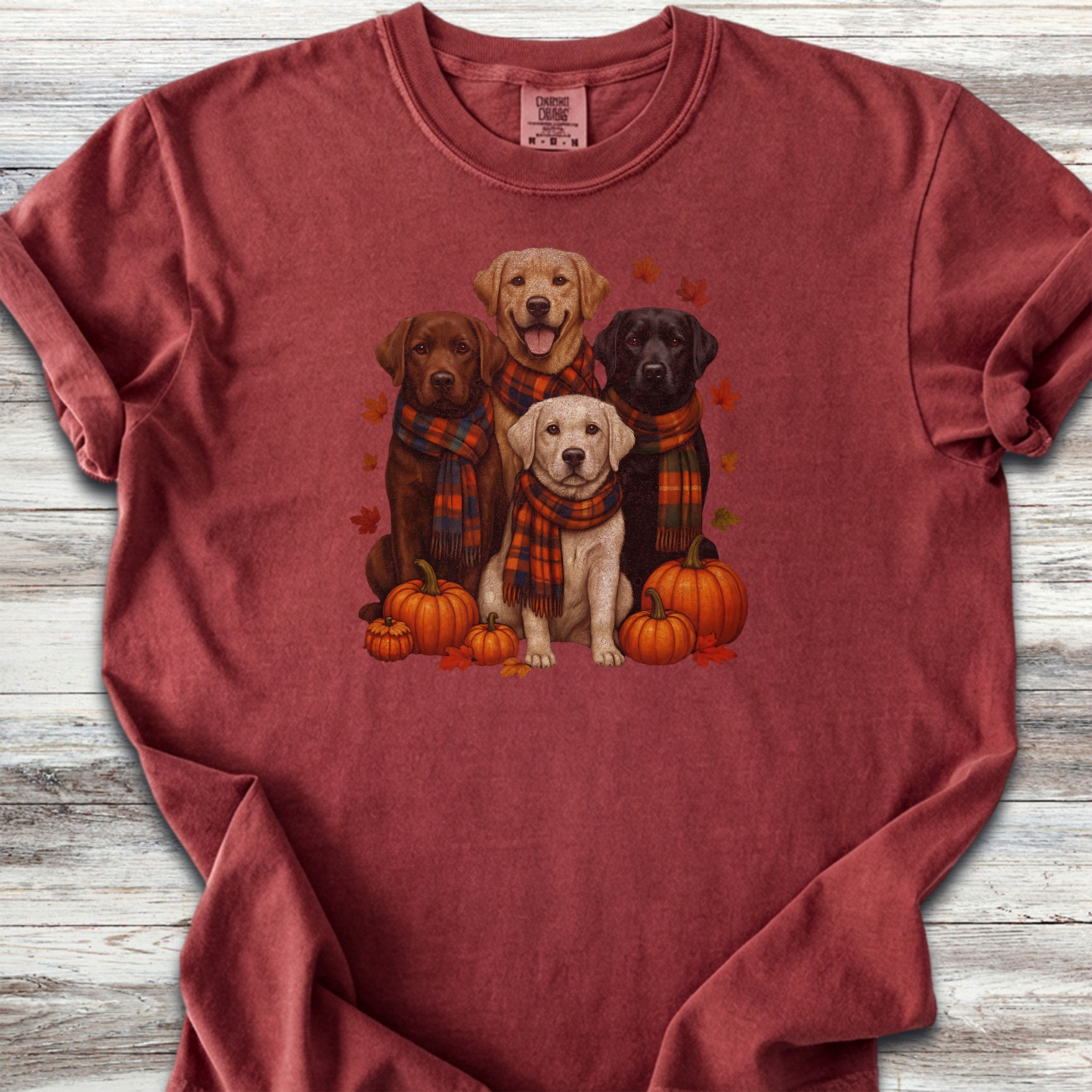 Labrador Retriever Fall - Brick