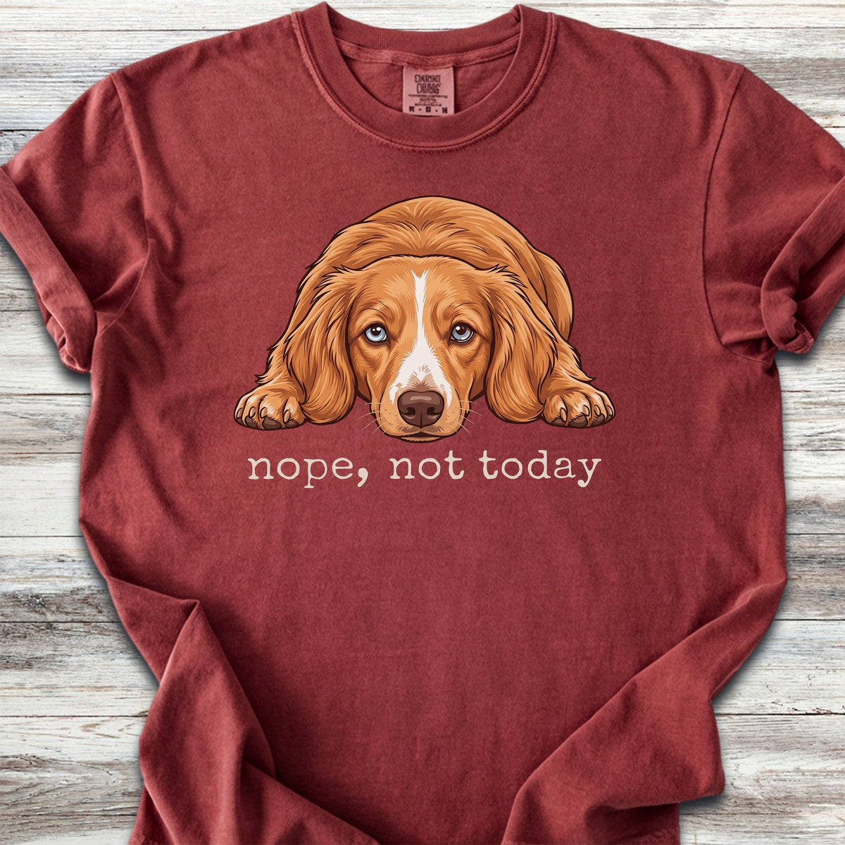 Dachshund Long Hair Red Piebald Nope - Brick
