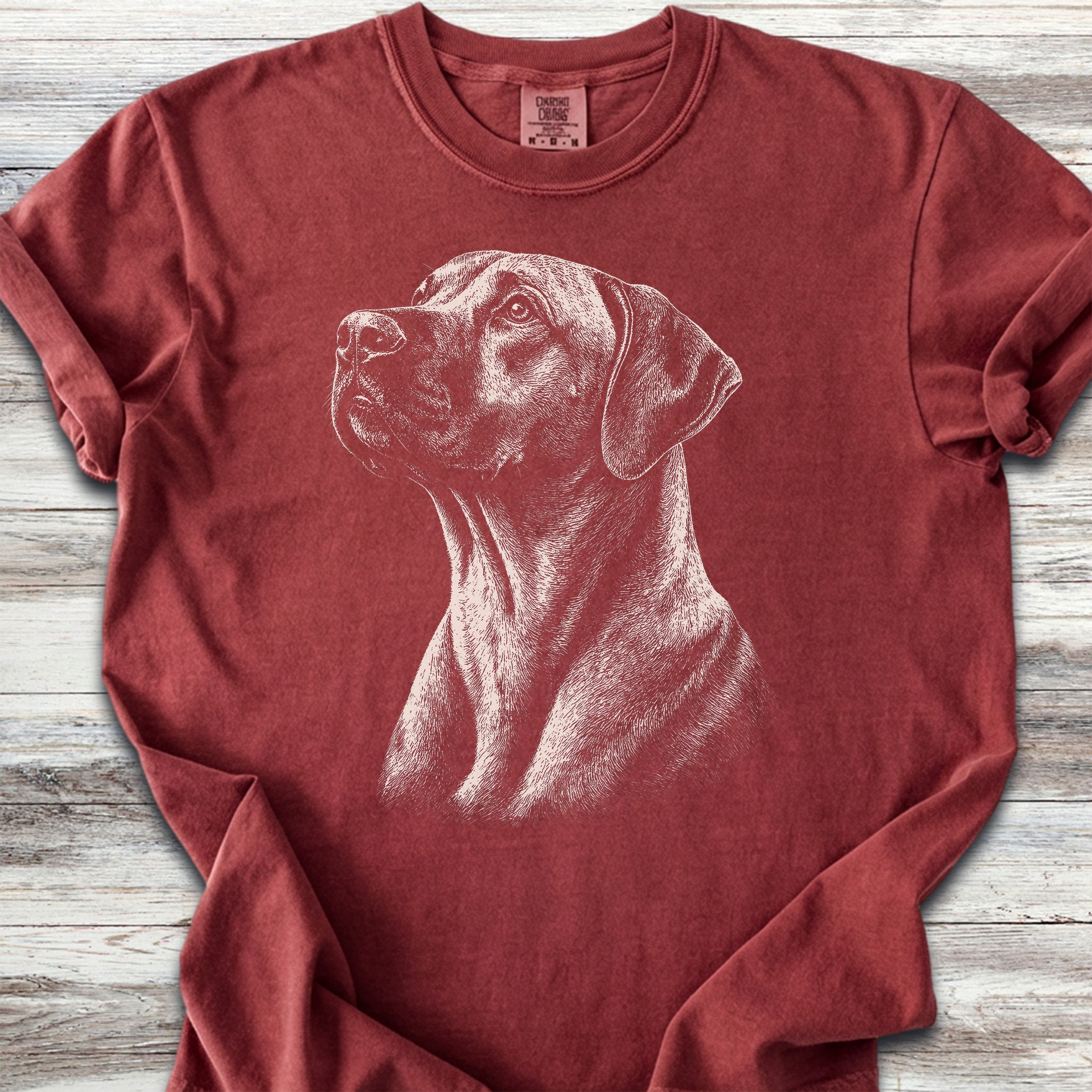 Rhodesian Ridgeback Loyalty - Brick
