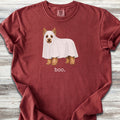 Yorkshire Terrier Boo - Brick