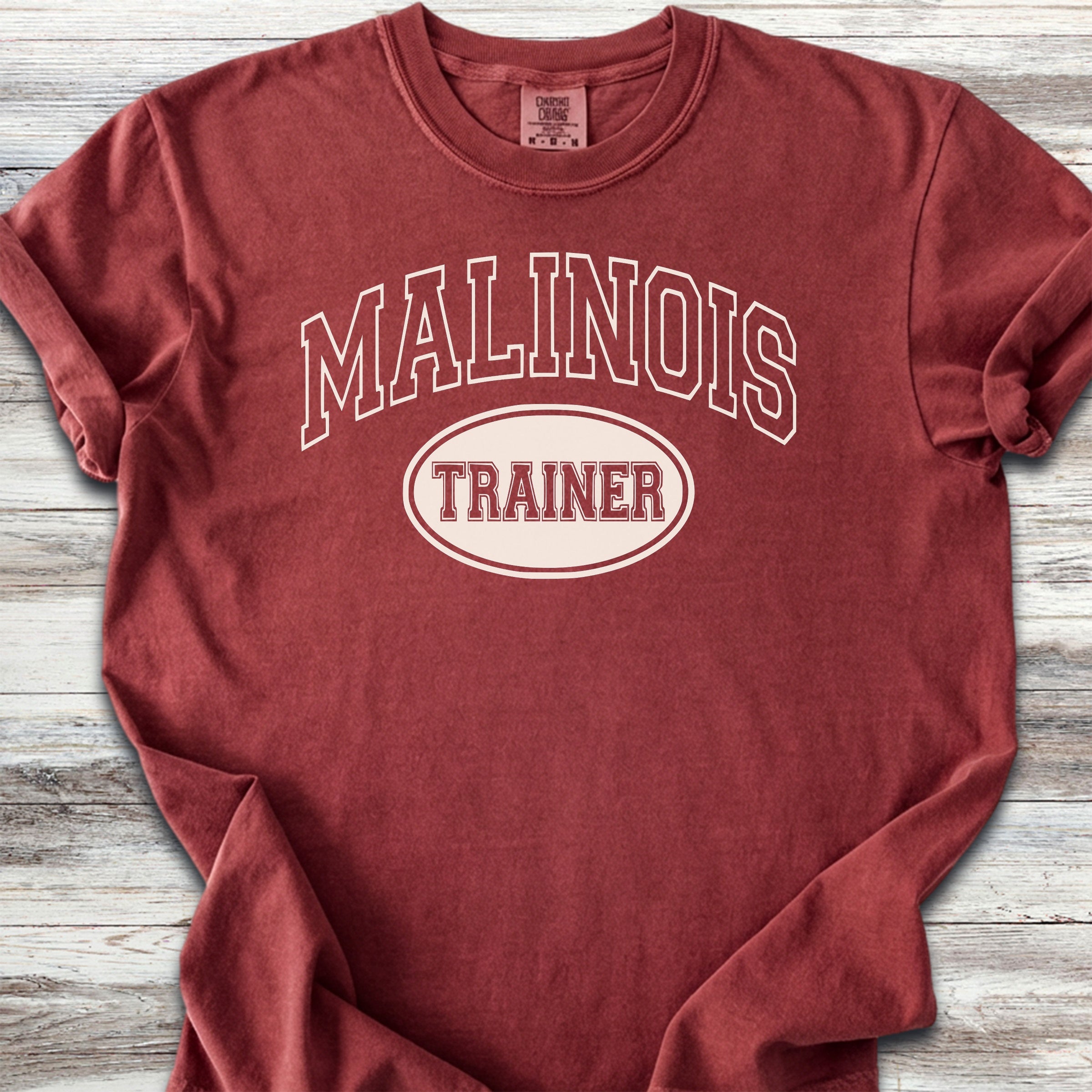 Belgian Malinois University Trainer - Brick