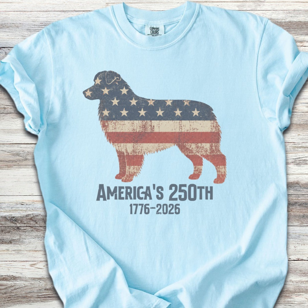Australian Shepherd 250 - Chambray