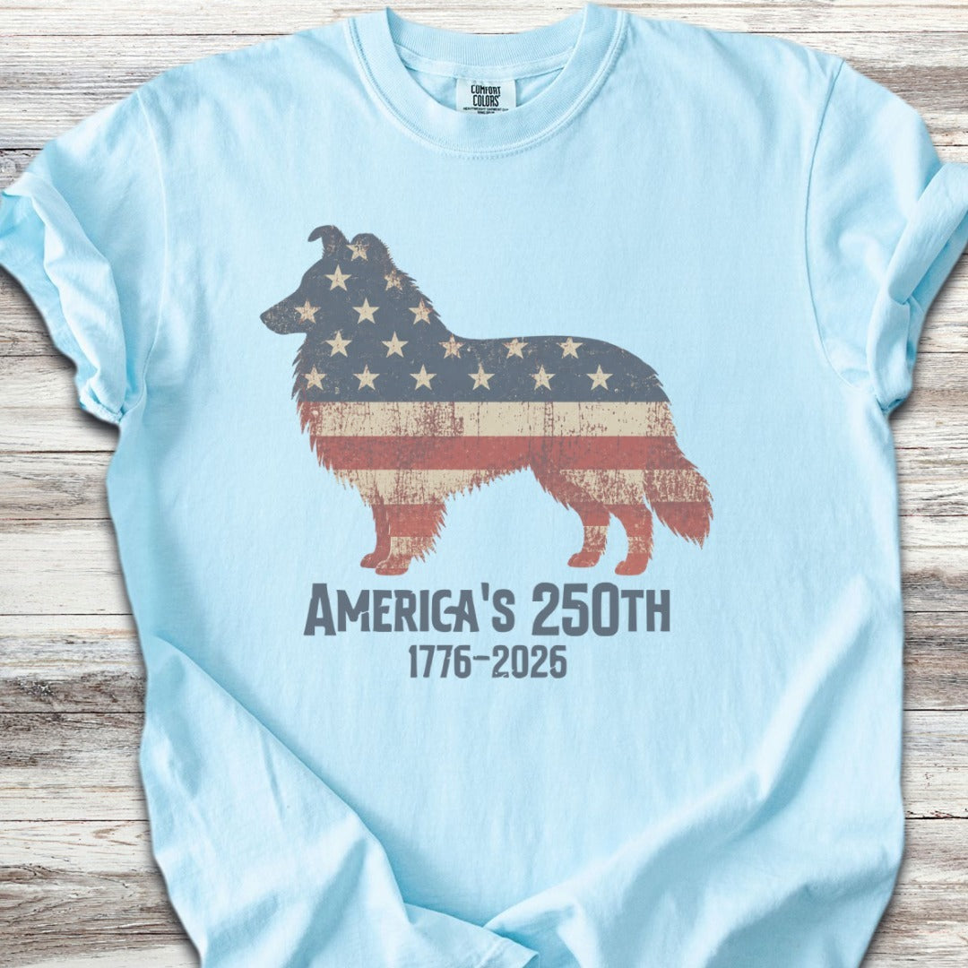 Shetland Sheepdog 250 - Chambray