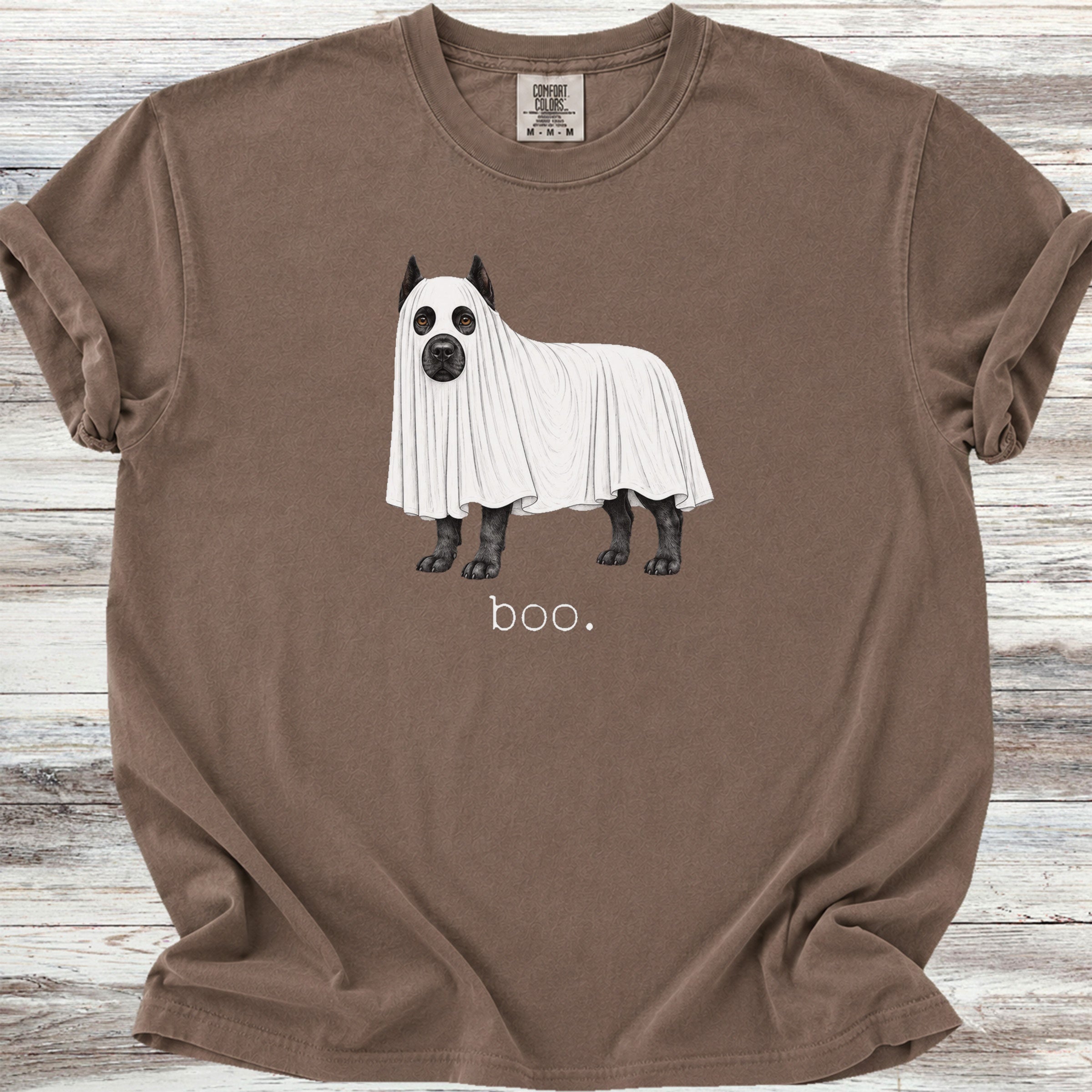 Cane Corso Boo - Espresso