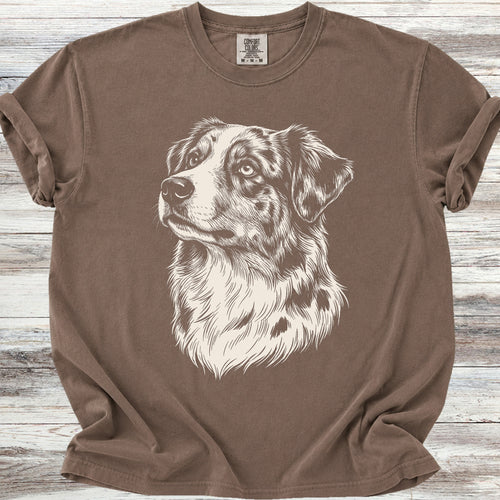 American Shepherd Loyalty - Espresso