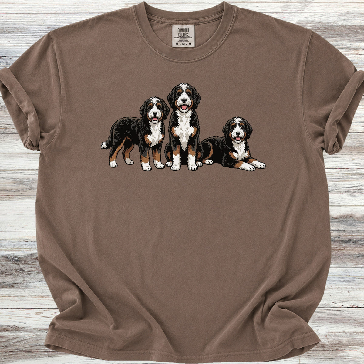 Bernedoodle Trio - Espresso