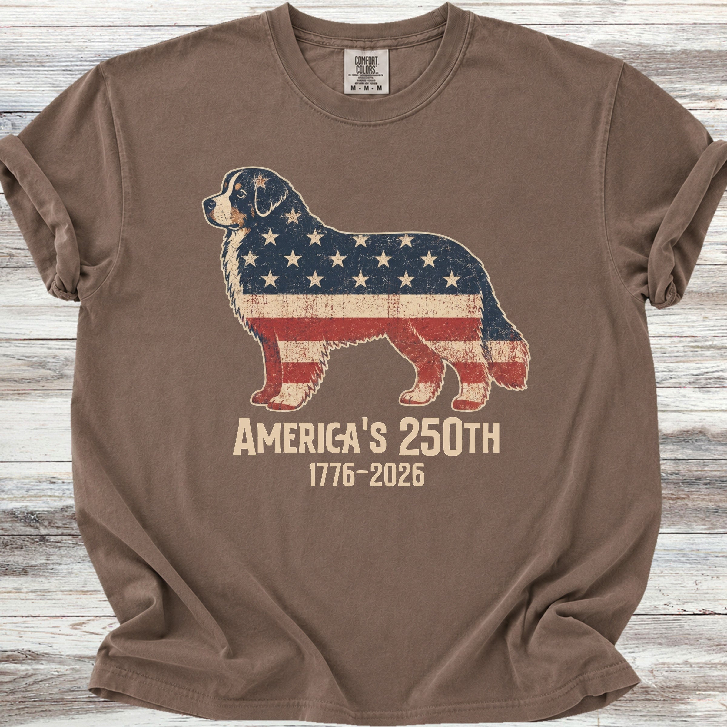 Bernese Mountain Dog 250 - Espresso