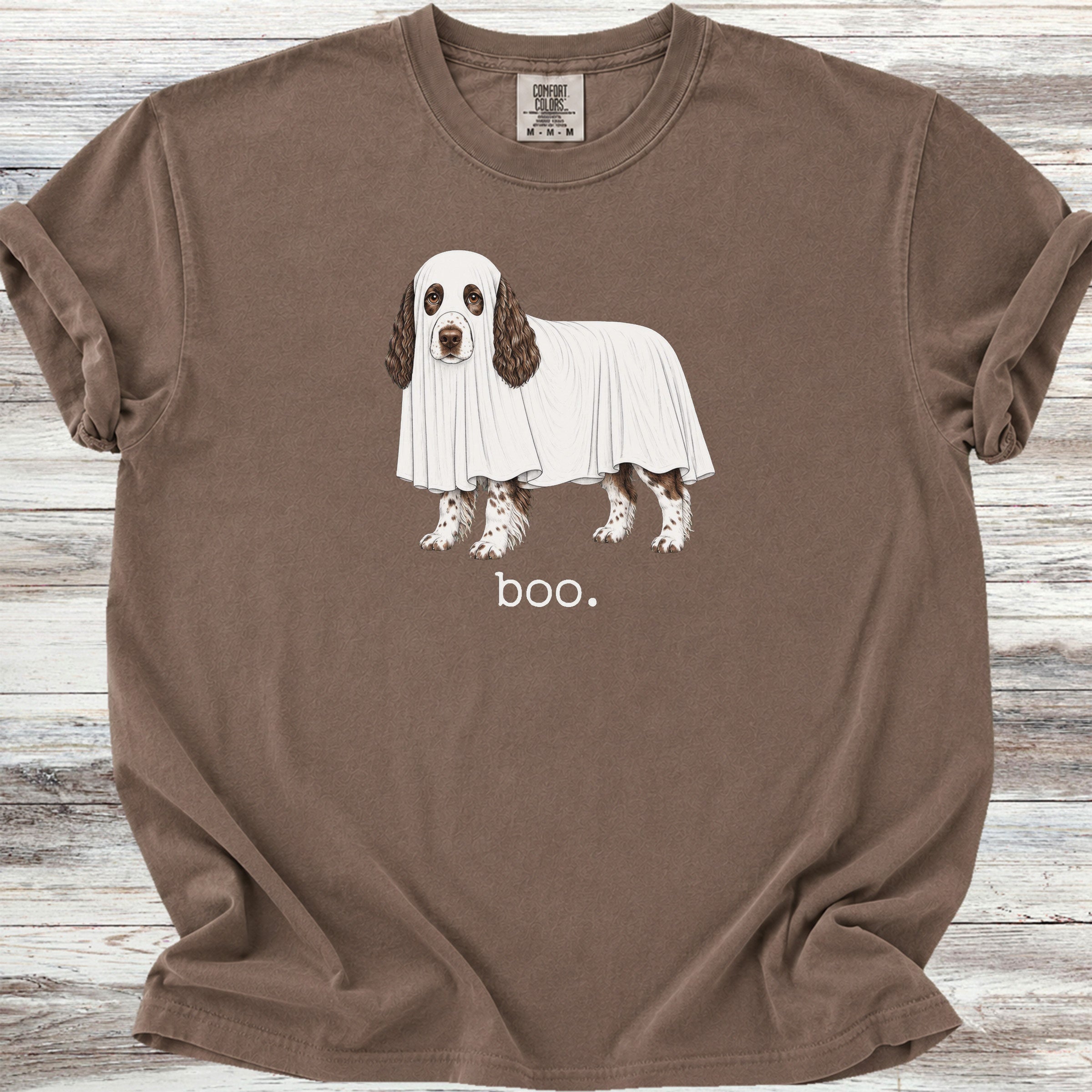 English Springer Spaniel Boo - Espresso
