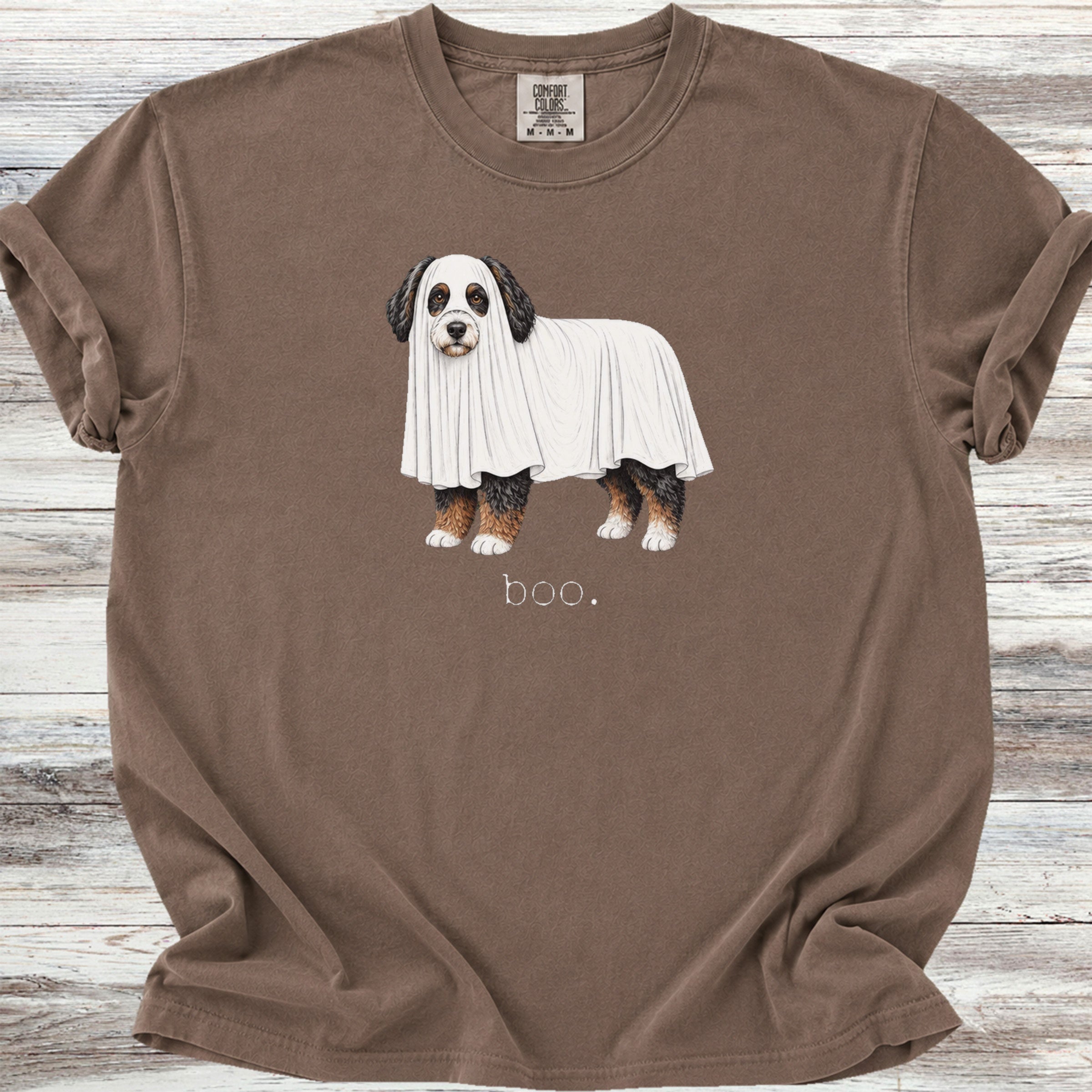 Bernedoodle Boo - Espresso