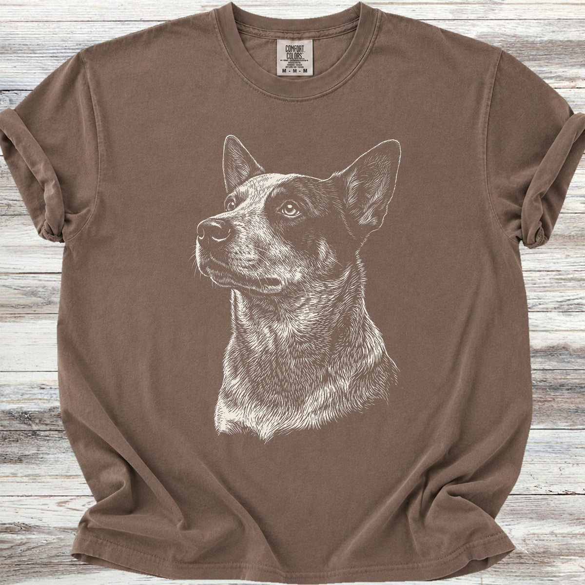 Australian Cattle Dog Loyalty - Espresso