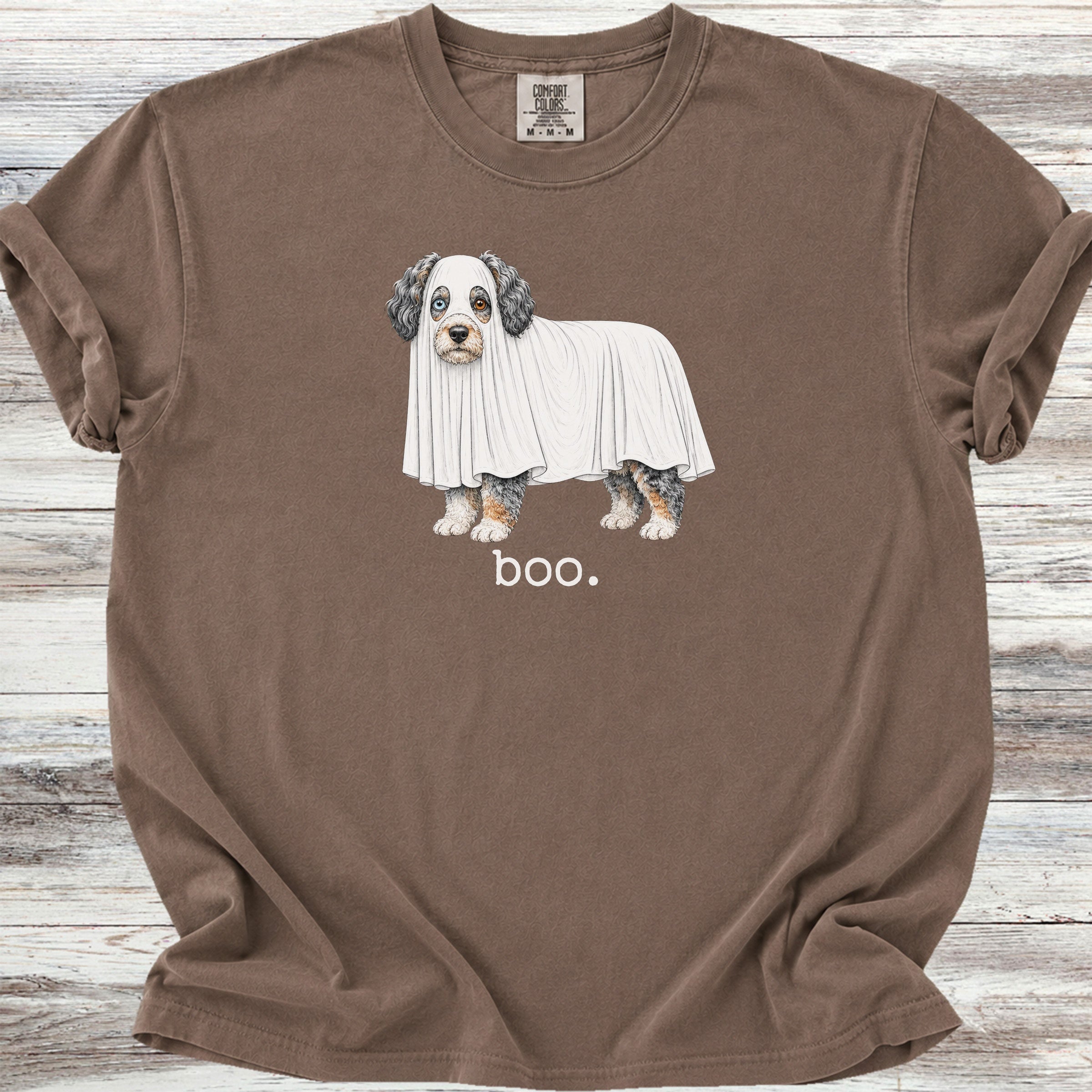 Aussiedoodle Boo - Espresso