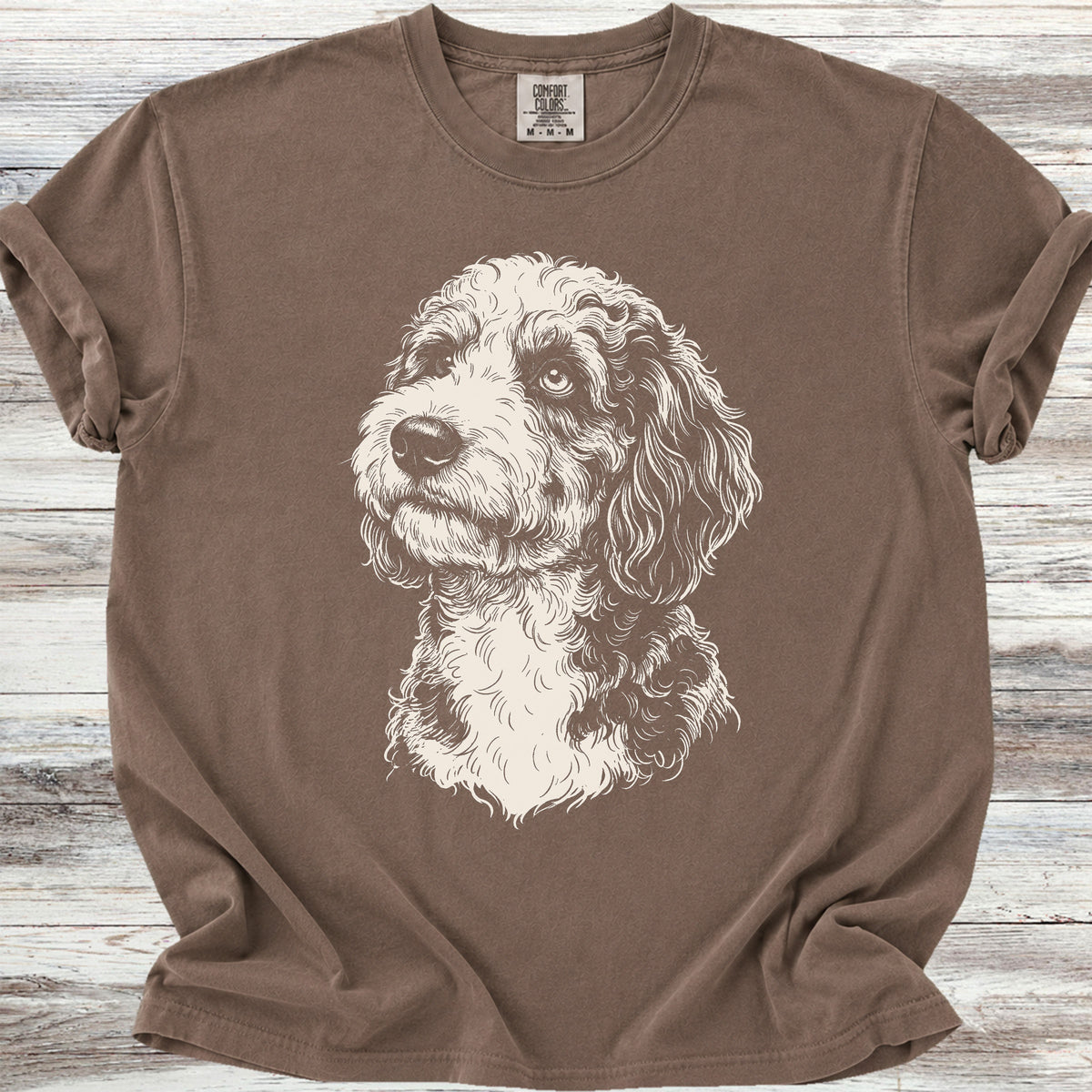 Aussiedoodle Loyalty - Espresso