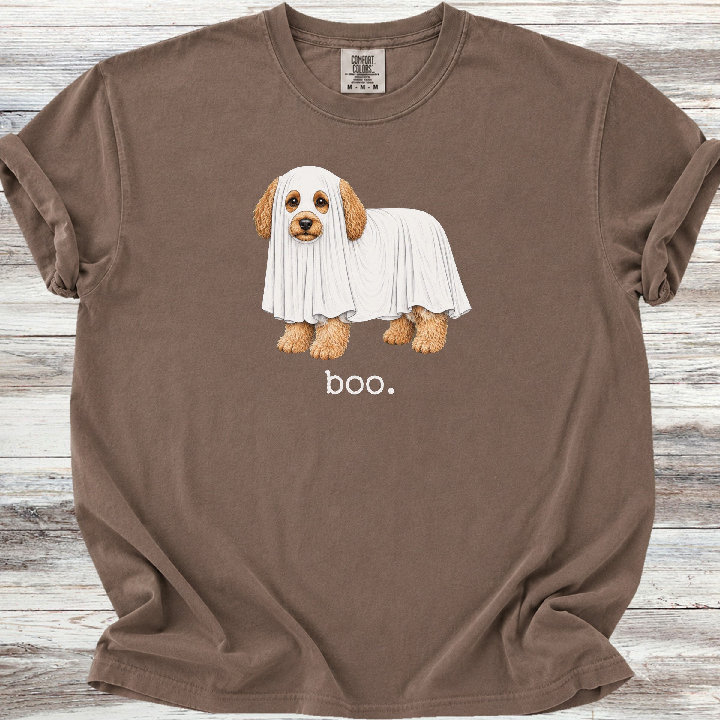 Cavapoo Boo - Espresso