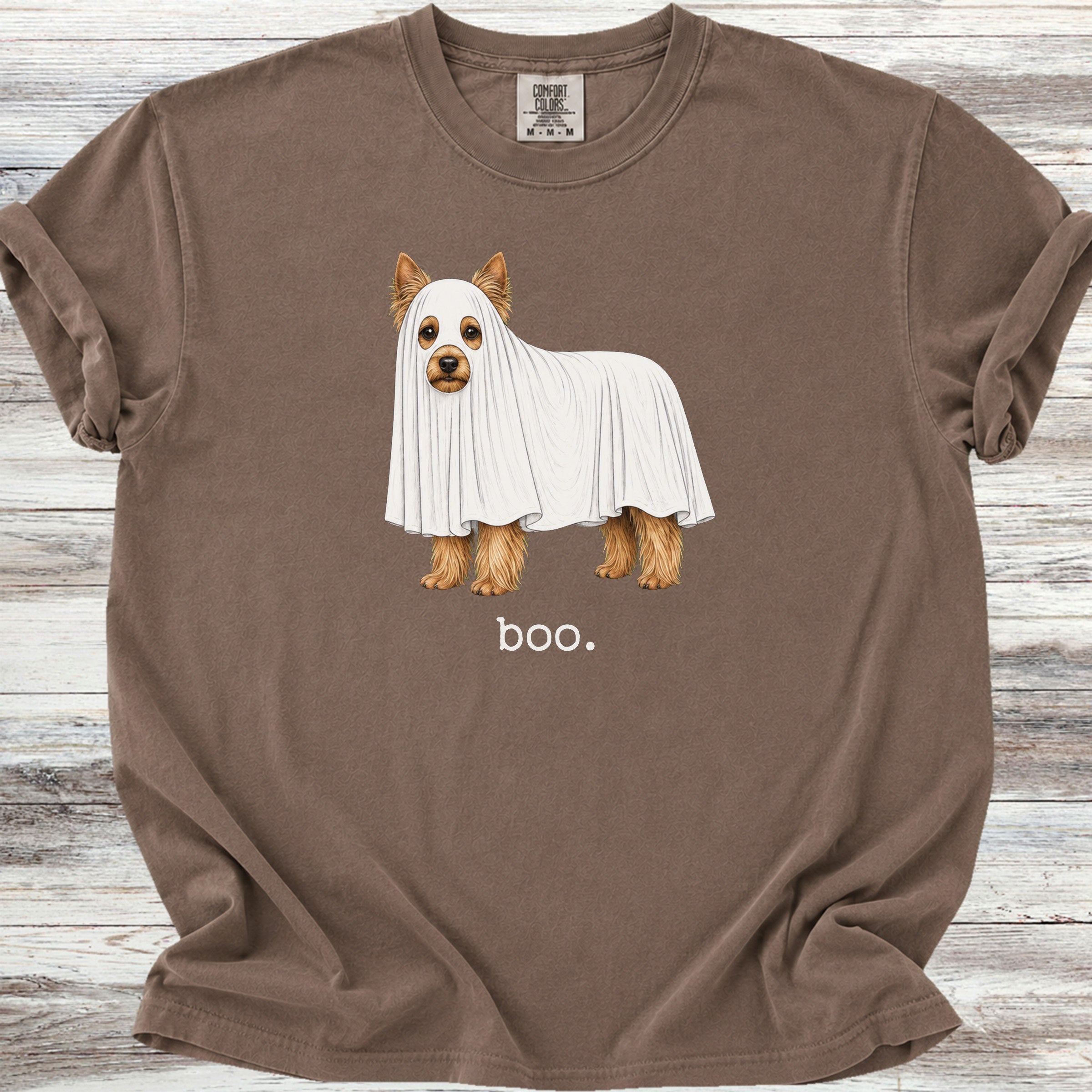 Yorkshire Terrier Boo - Espresso