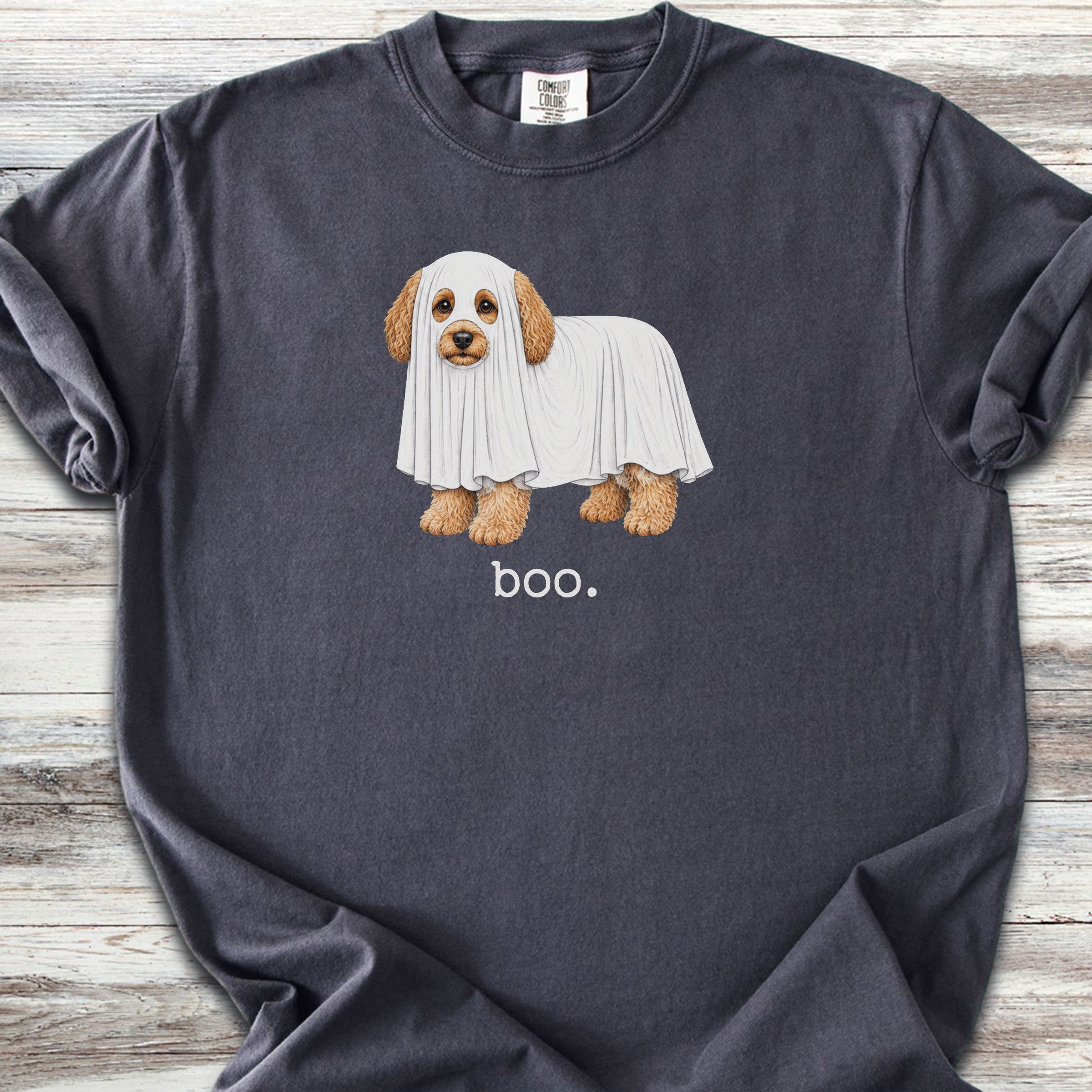 Cavapoo Boo - Graphite