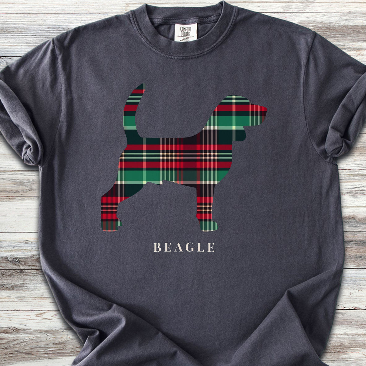 Beagle Winter 2025 - Graphite