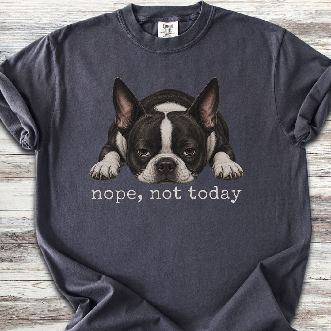 Boston Terrier Nope - Graphite