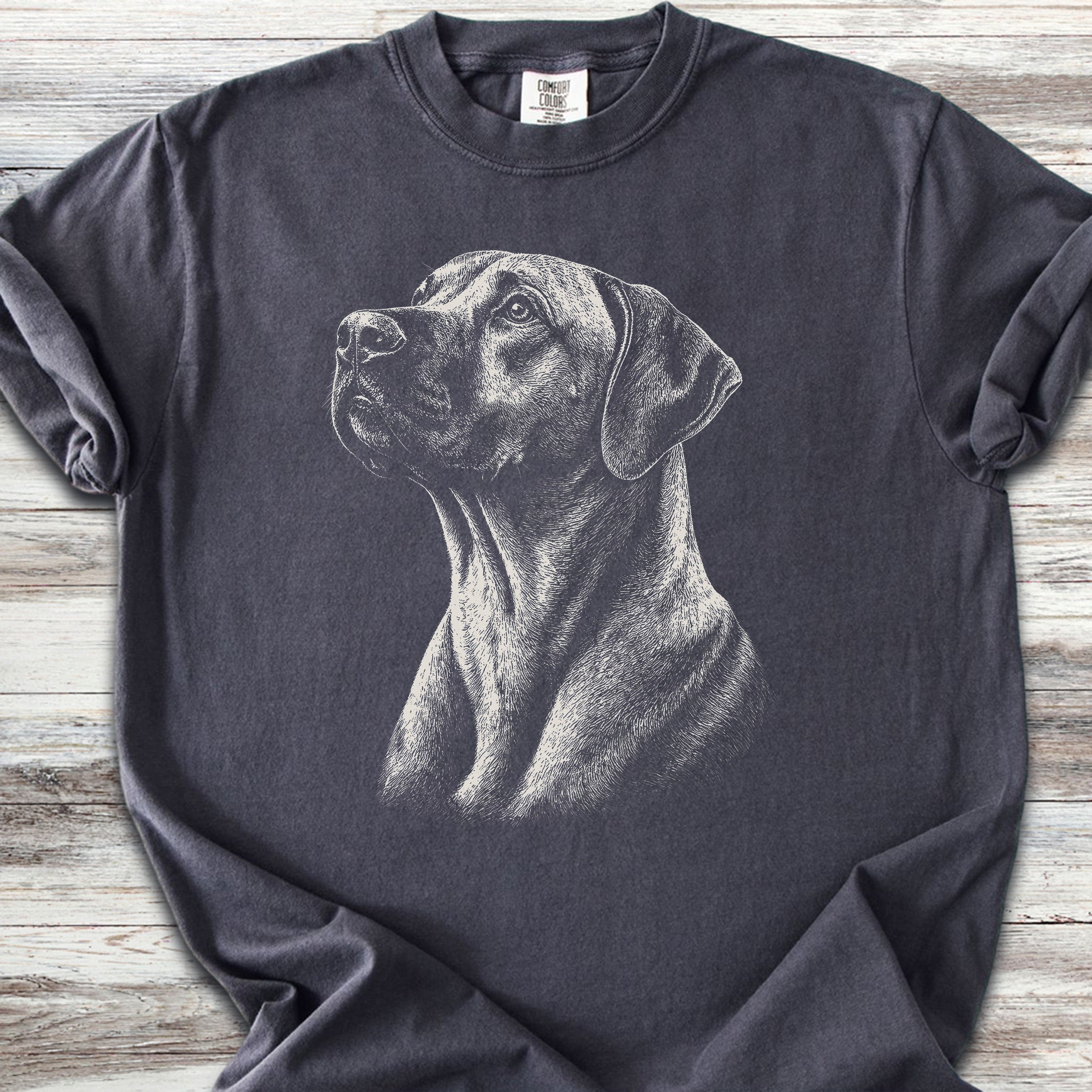 Rhodesian Ridgeback Loyalty - Graphite