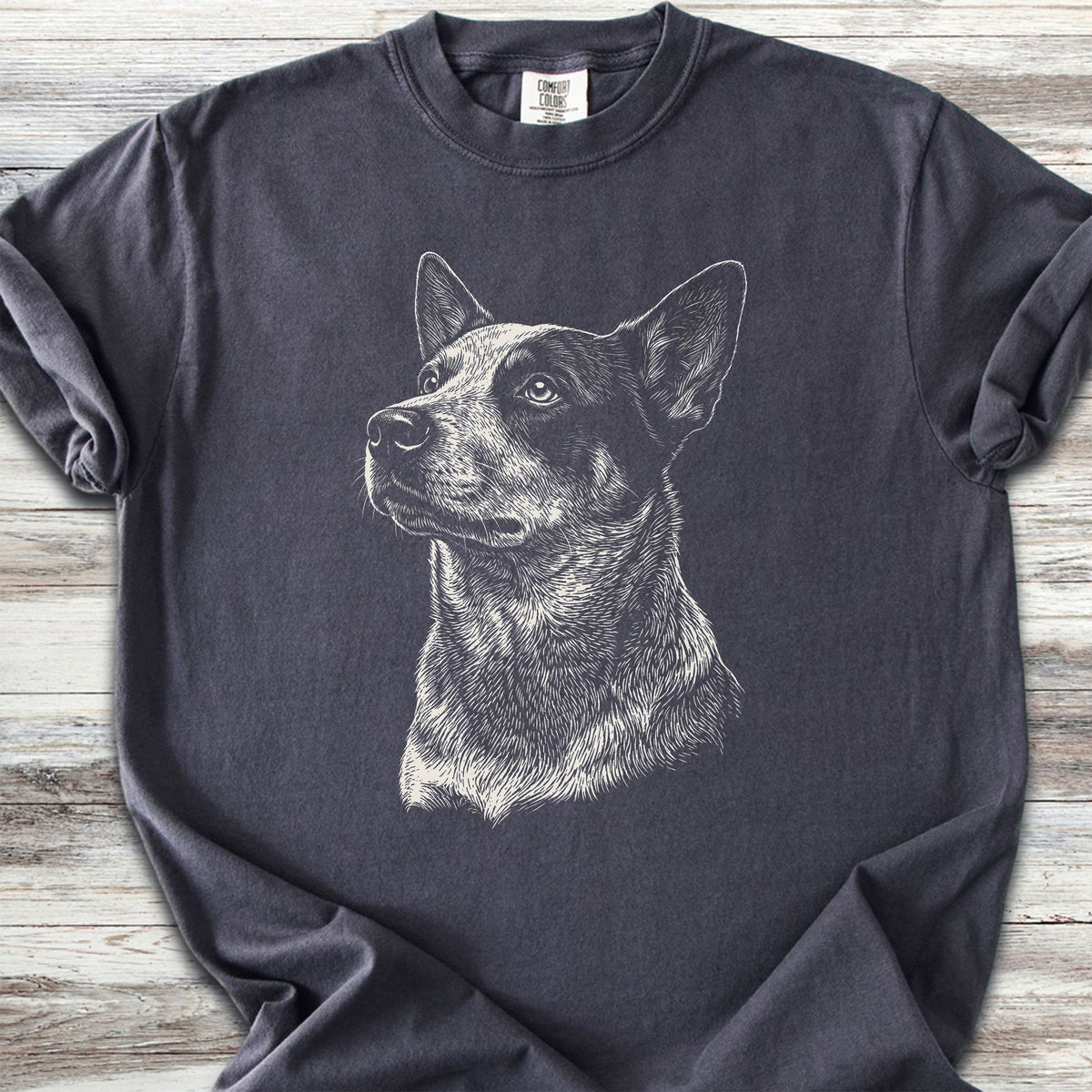 Australian Cattle Dog Loyalty - Graphite