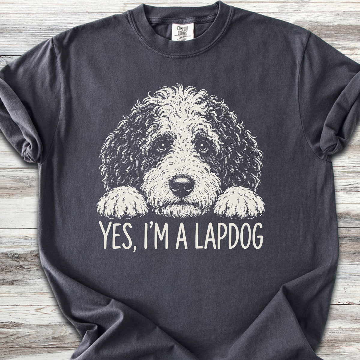 Sheepadoodle Lapdog - Graphite